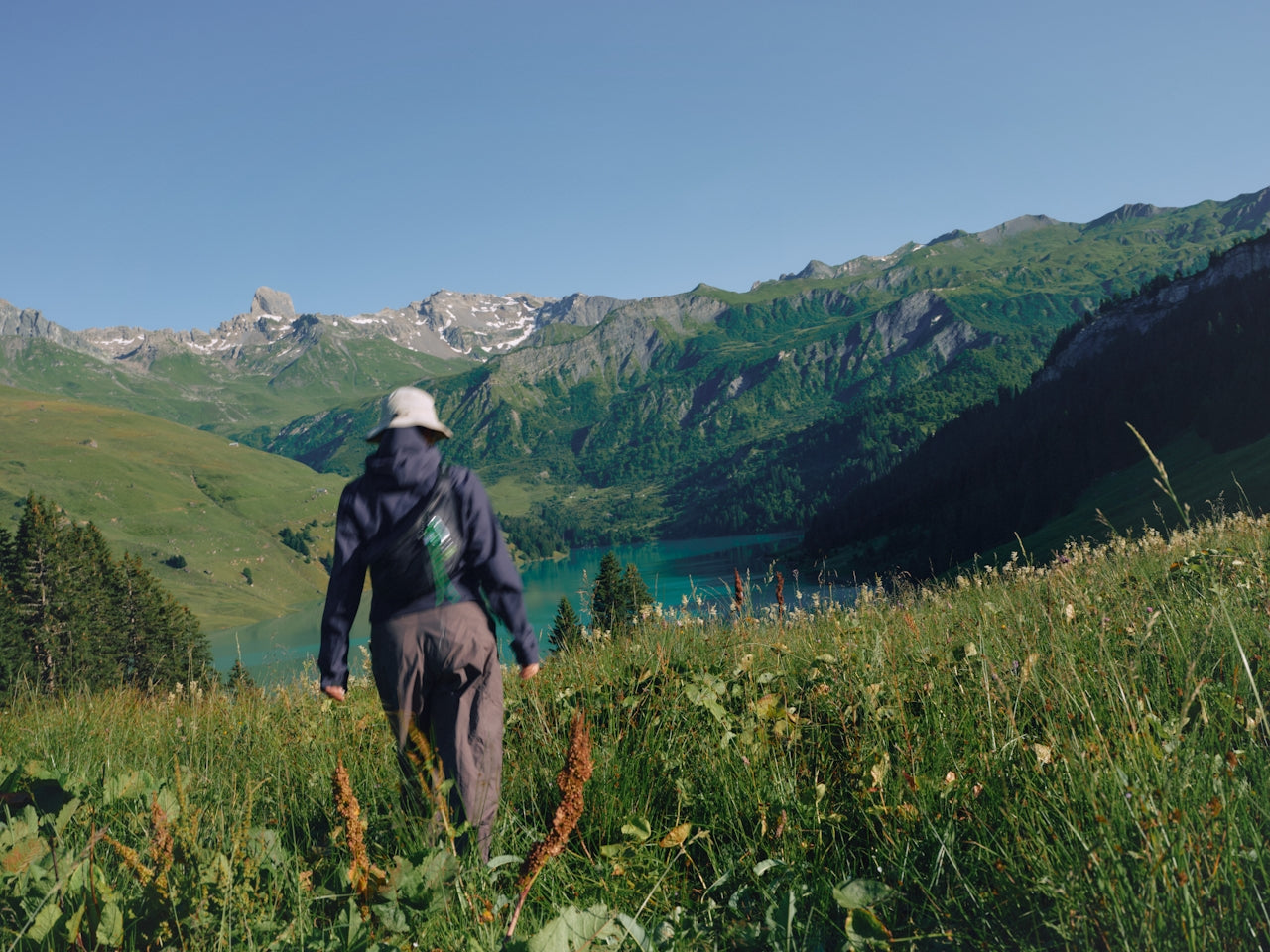 Protein Shakes & Smoothies