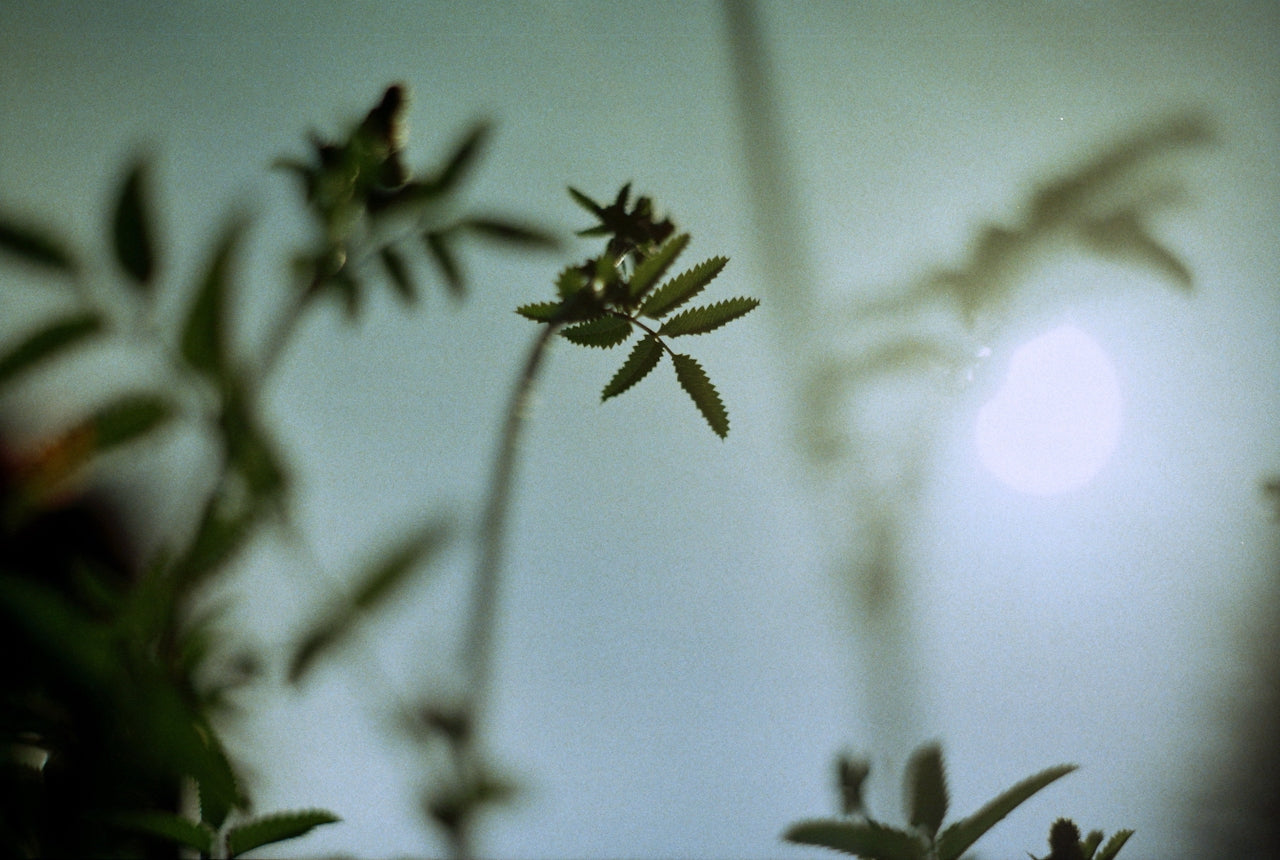 Sleep & HRV Optimization Protocol