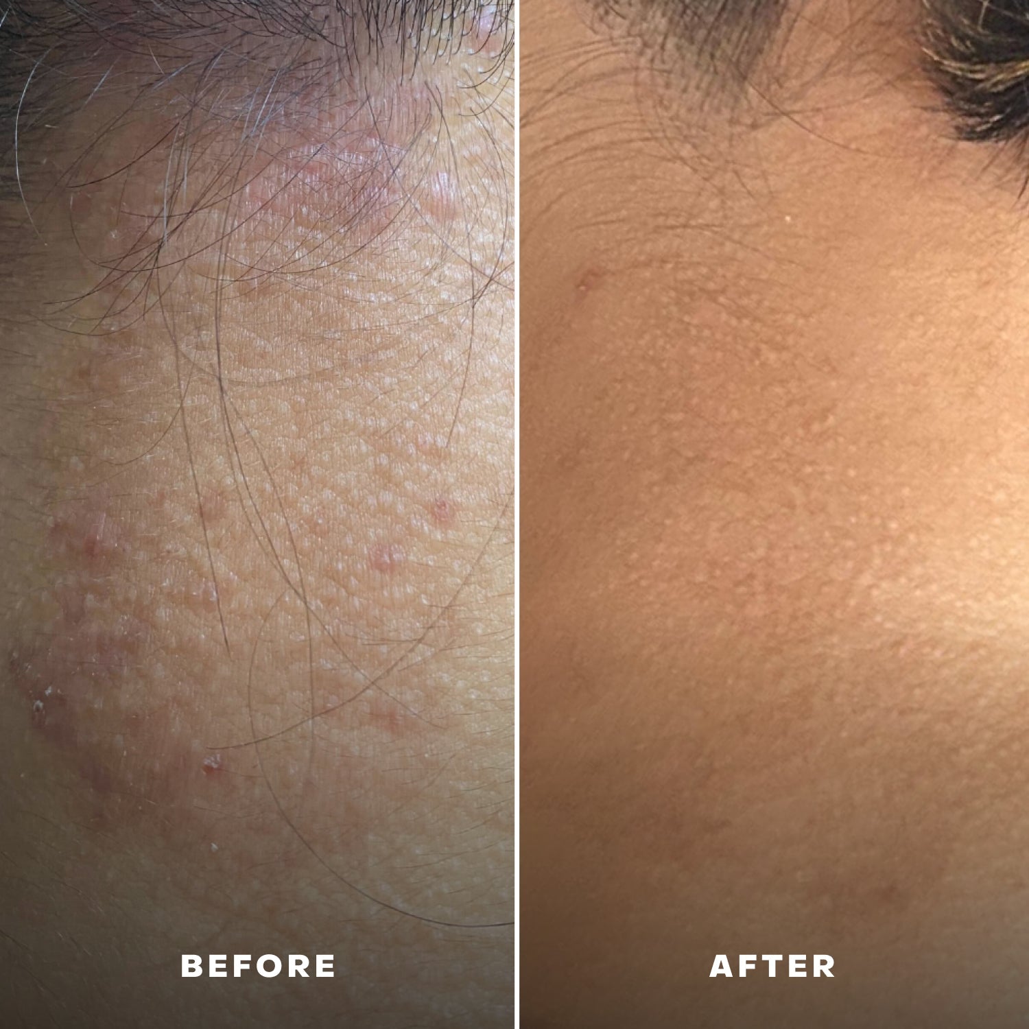 The Fragrance-Free Conditioning Concentrate