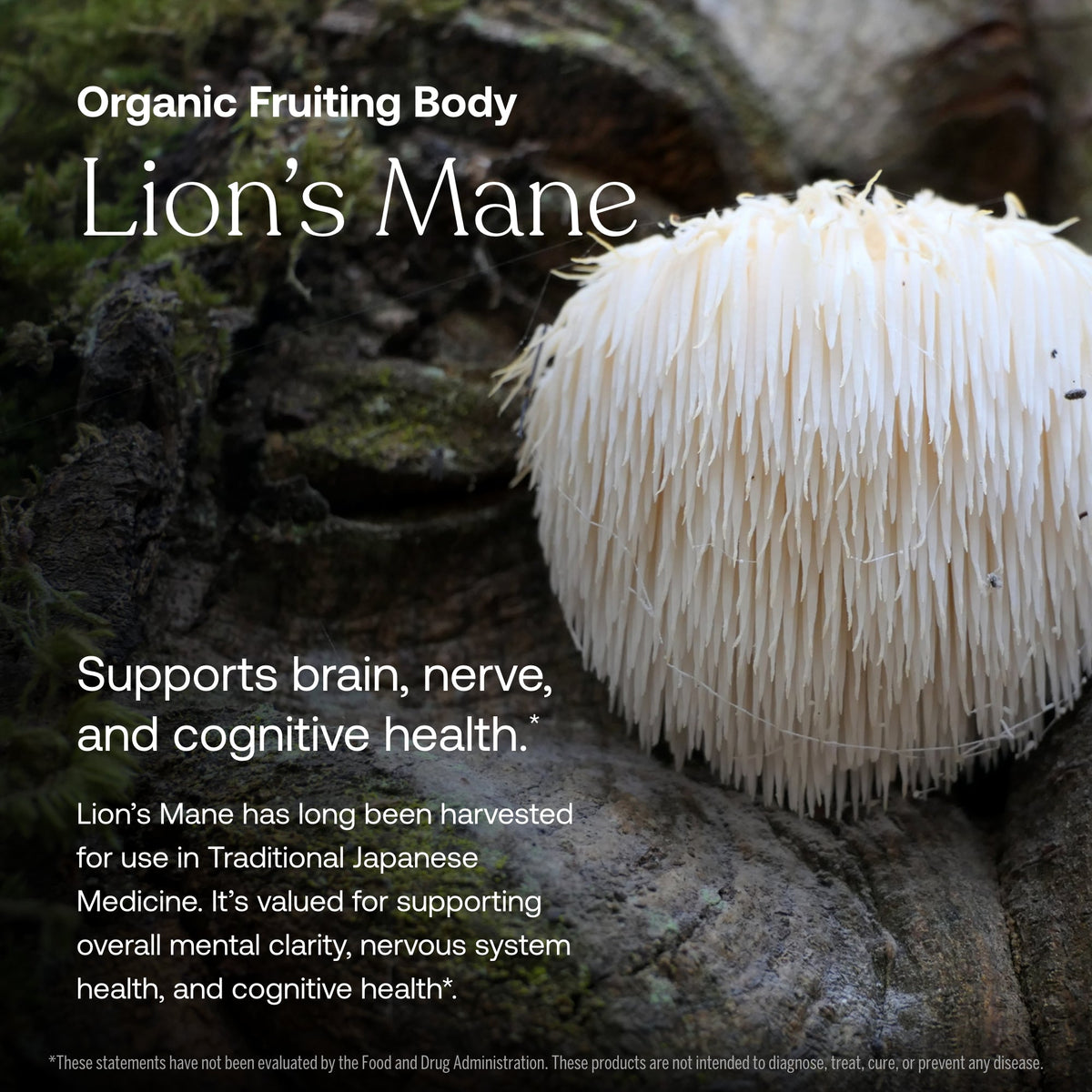 Daily Men's 50+ Multivitamin