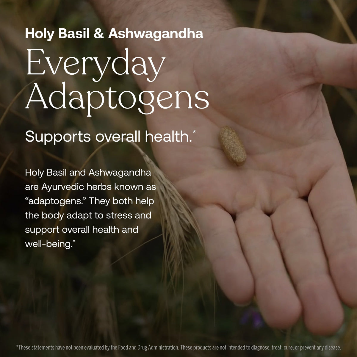 One Daily Men's 40+ Multivitamin