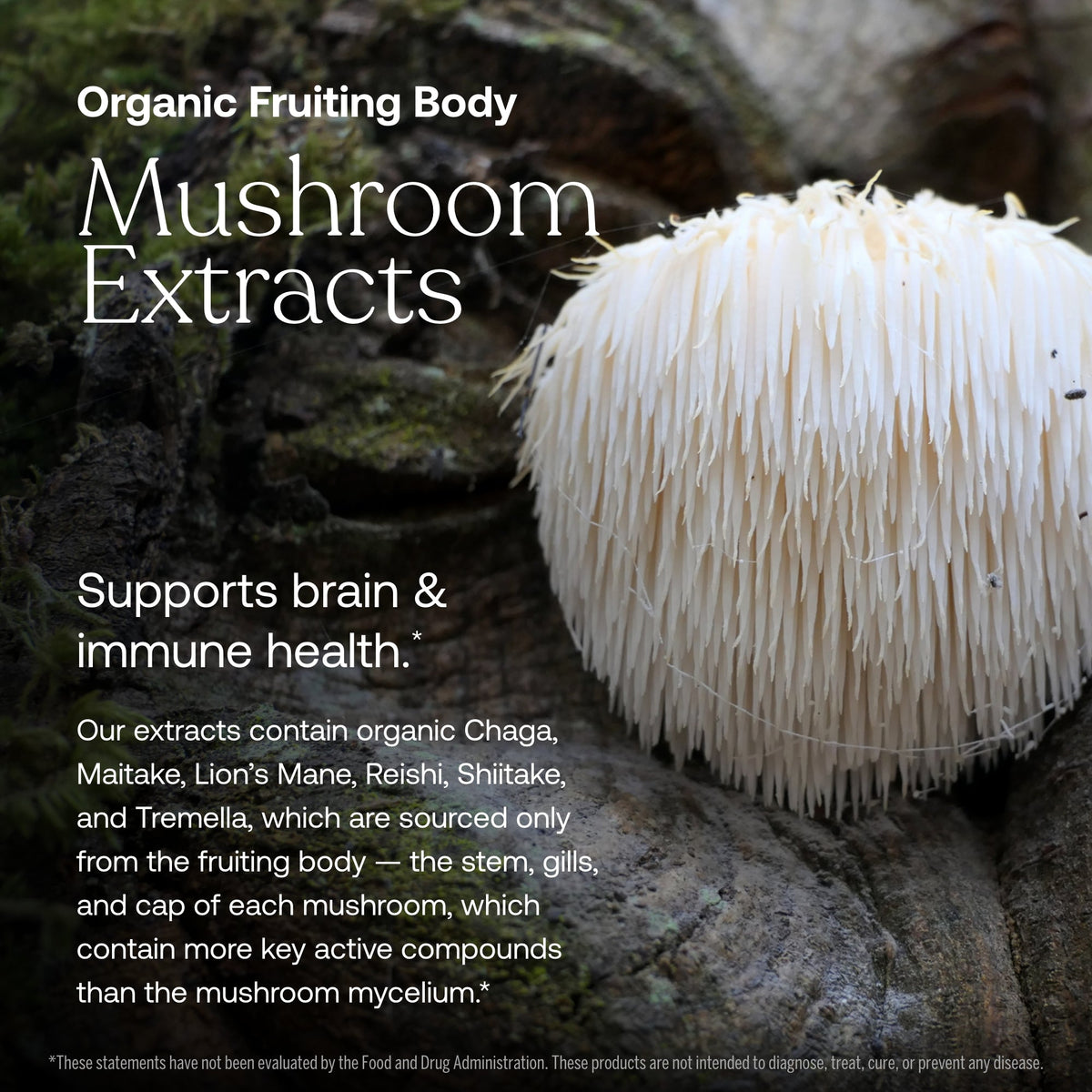 One Daily Men's 40+ Multivitamin