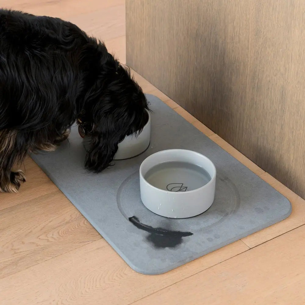 Dog Bowls + Stone Base by Dorai Home | Quick-Drying Home Essentials