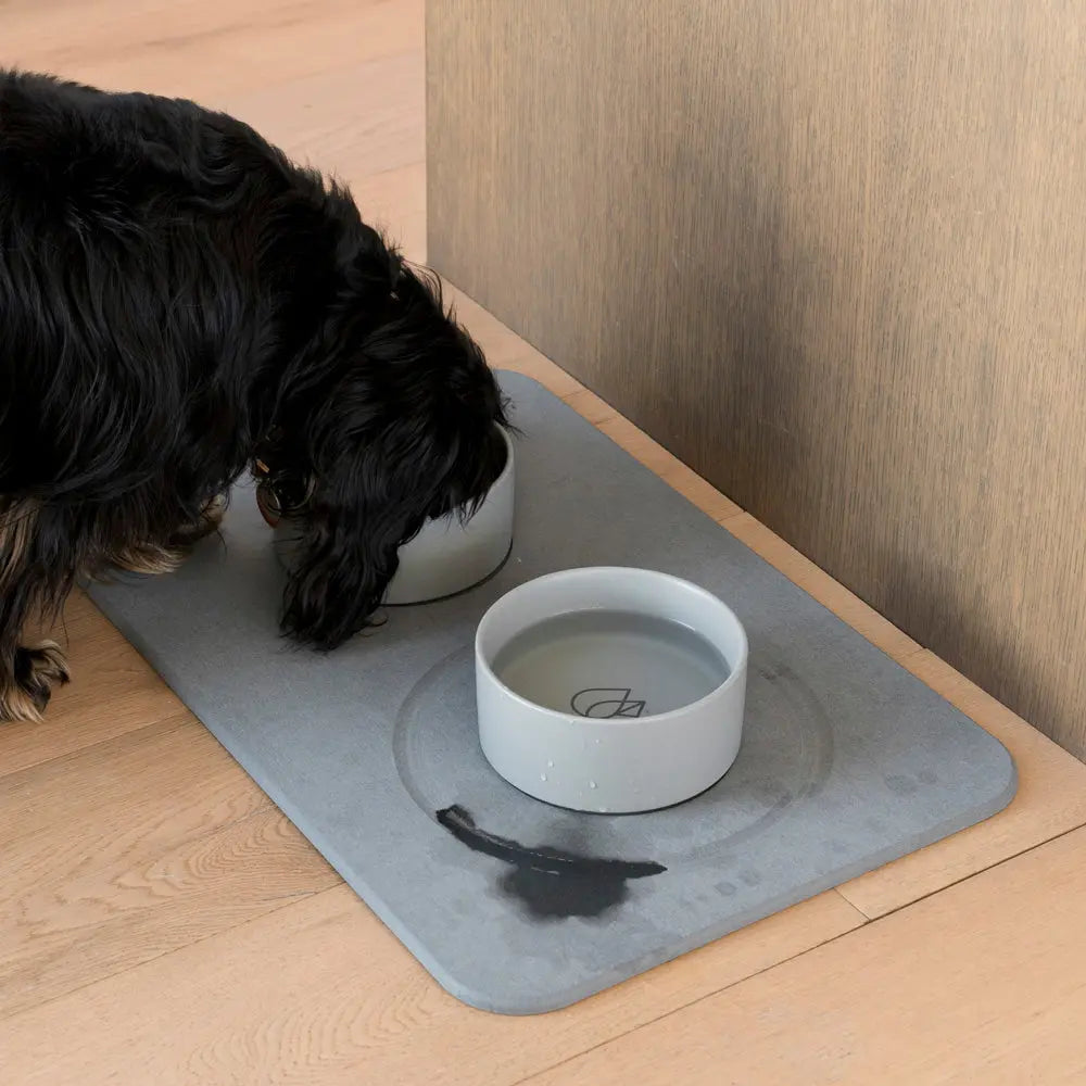 Dog Bowl Stone Base by Dorai Home | Quick-Drying Home Essentials