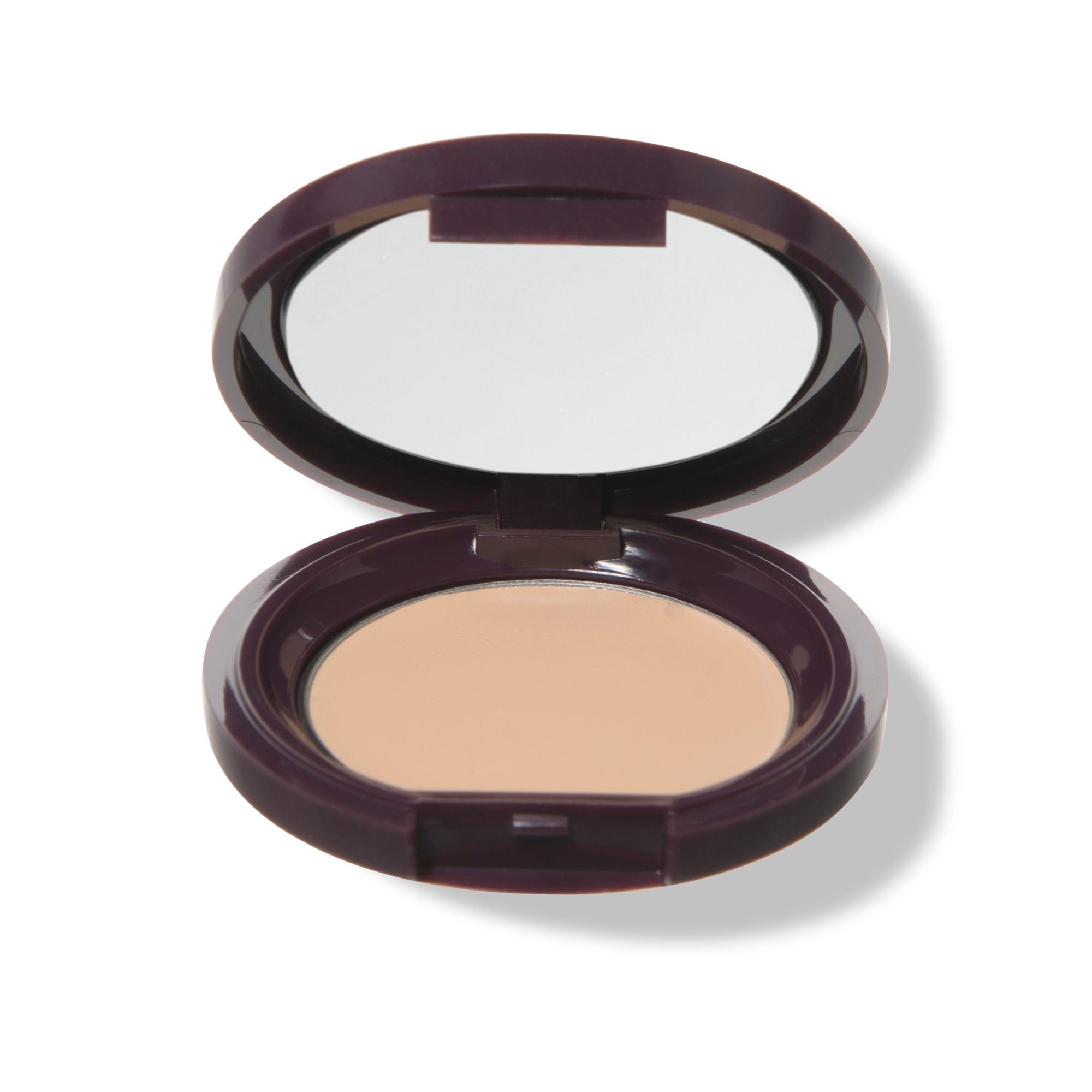 Fruit Pigmented® Long Last Concealer with Super Fruits