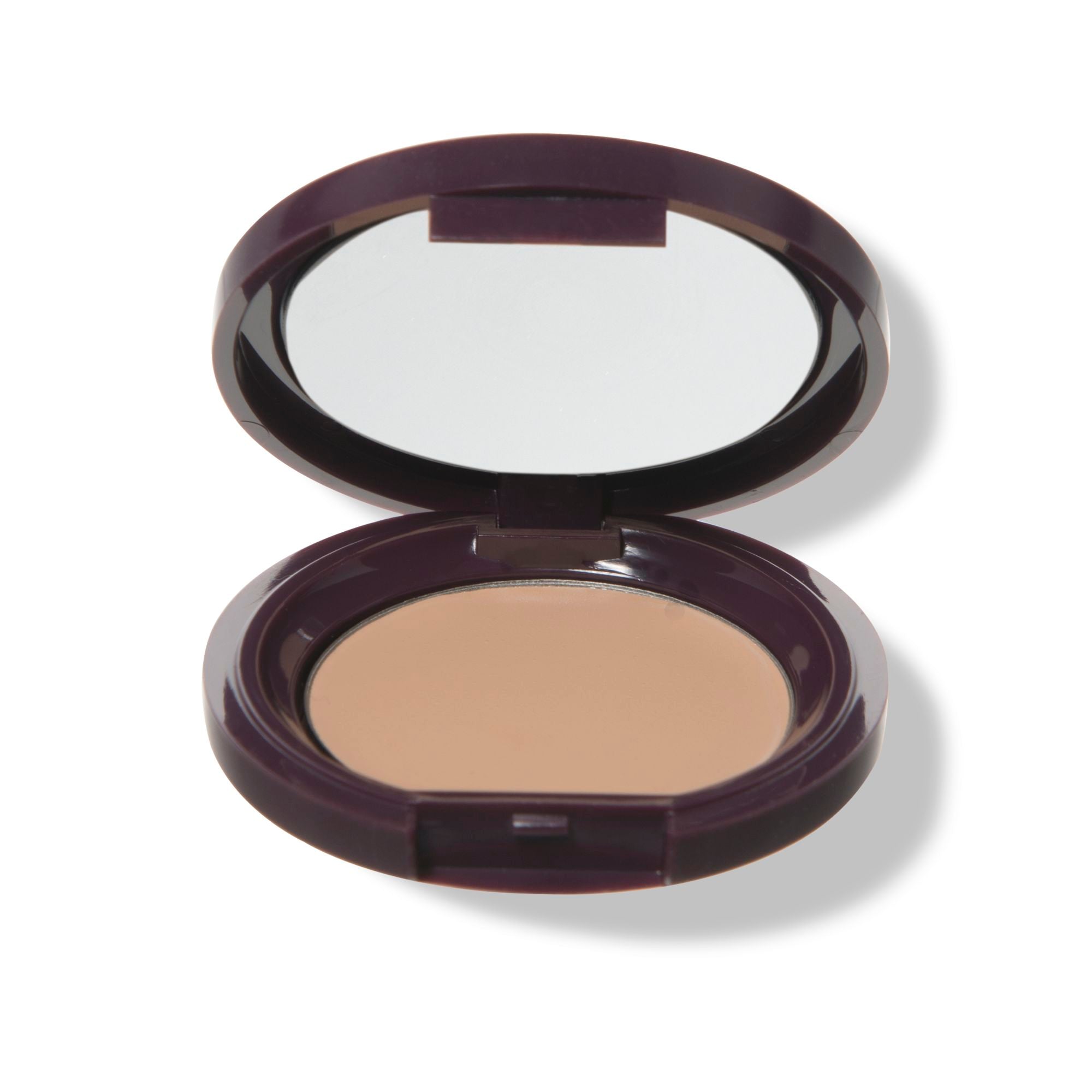Fruit Pigmented® Long Last Concealer with Super Fruits