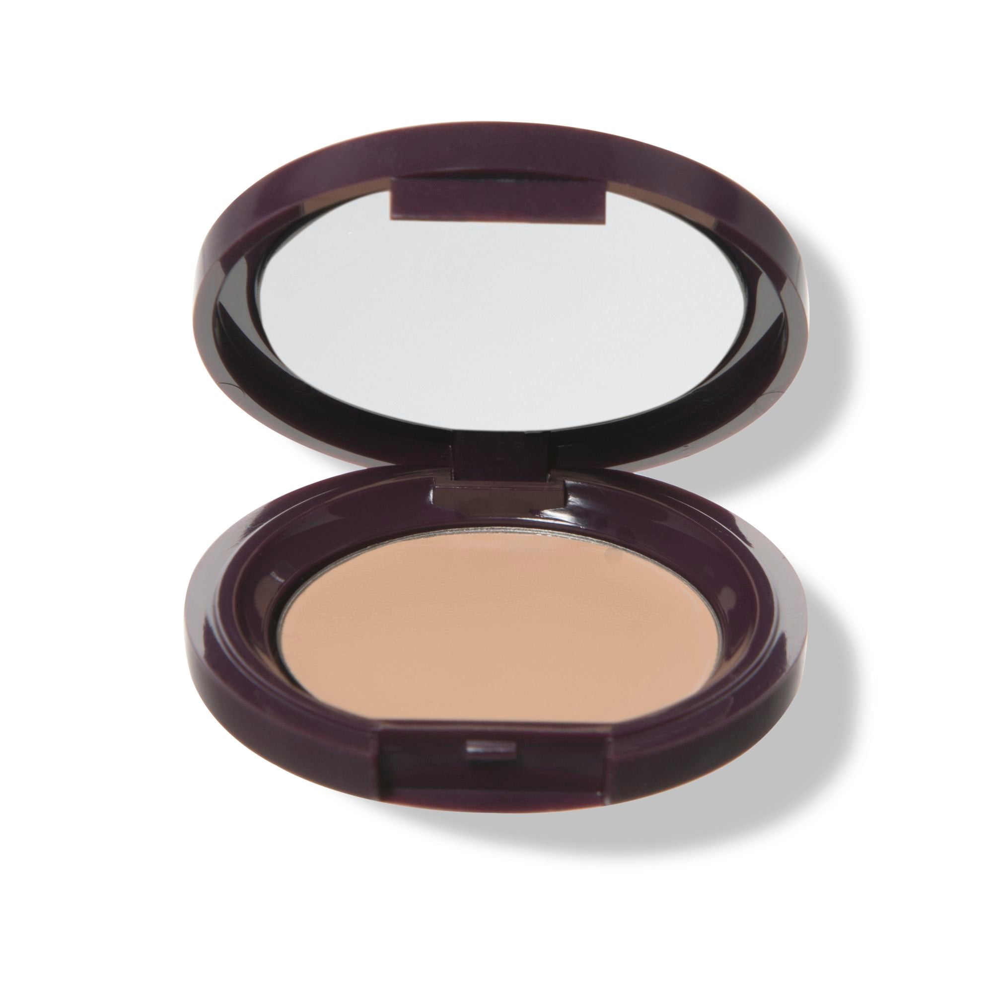 Fruit Pigmented® Long Last Concealer with Super Fruits