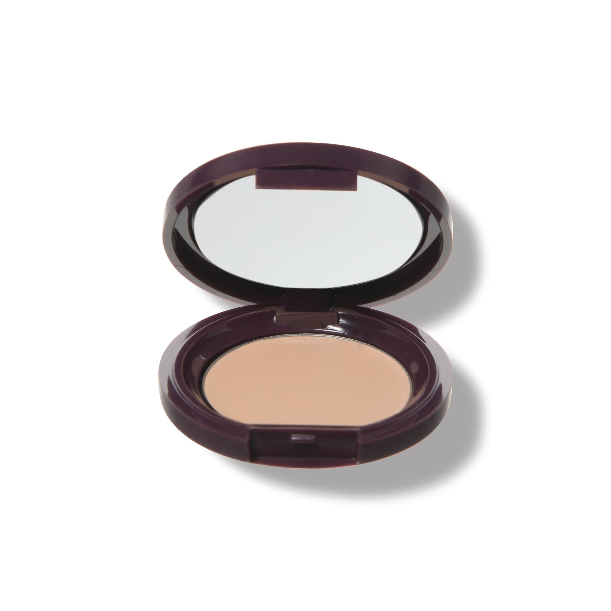 Fruit Pigmented® Long Last Concealer with Super Fruits