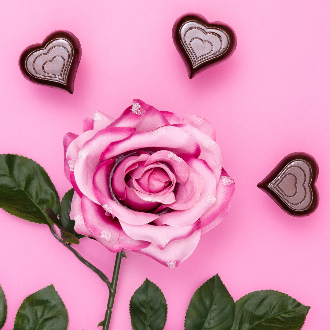 Dark Chocolate Brownie Batter Hazelnut Butter Cups (3 Bags) by B.T.R. Bar