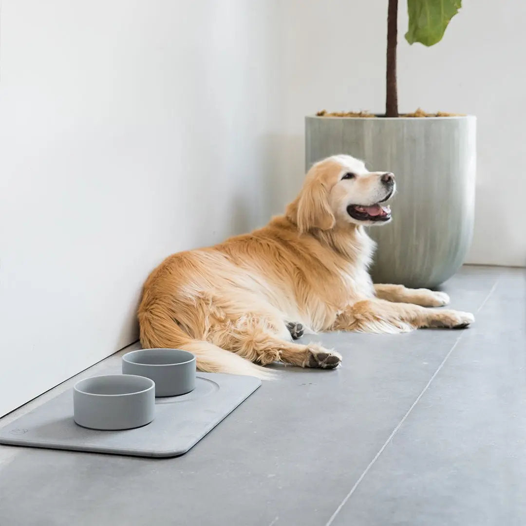 Dog Bowls + Stone Base by Dorai Home | Quick-Drying Home Essentials