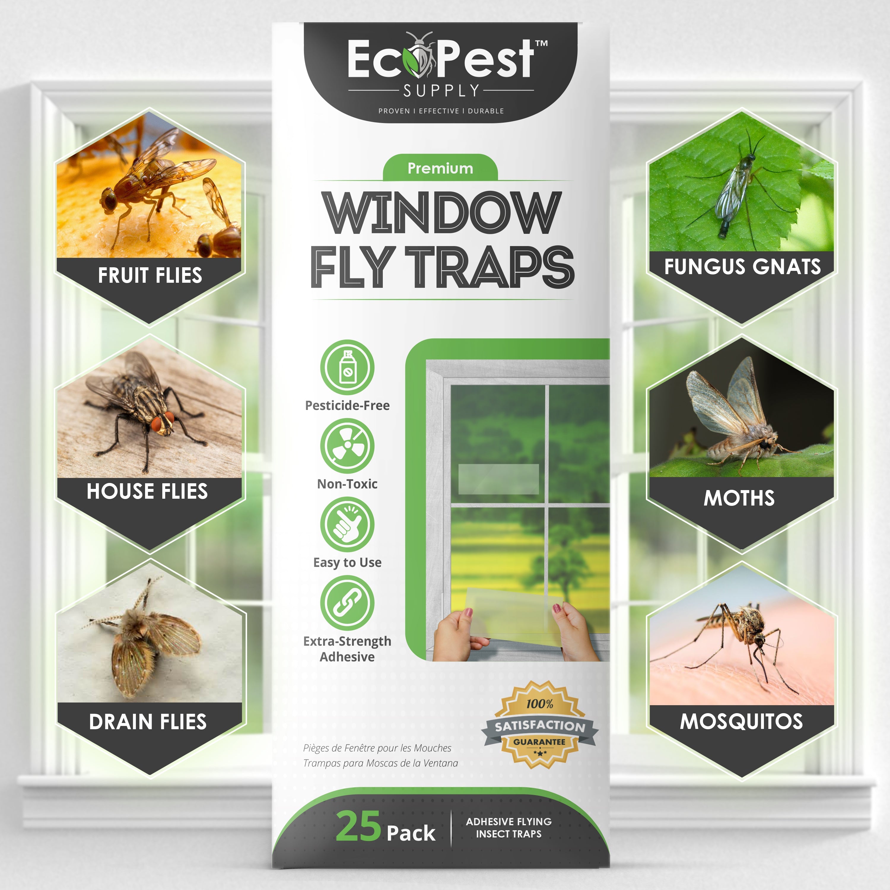 Window Fly Traps – 25 Pack | Transparent Sticky Fly Trap for Windows by EcoPest Supply