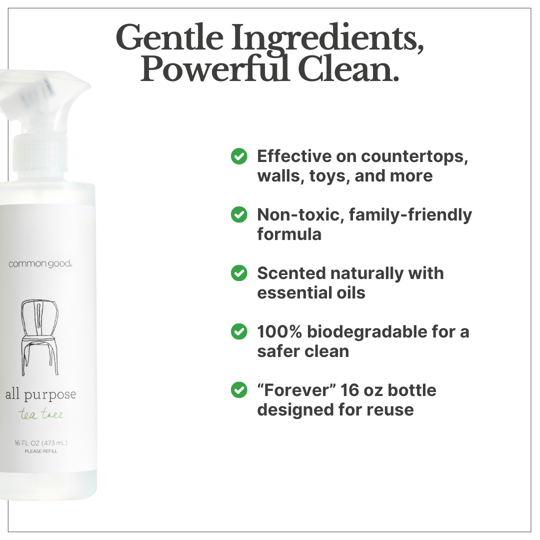 All Purpose Cleaner, 16 Fl Oz by Common Good