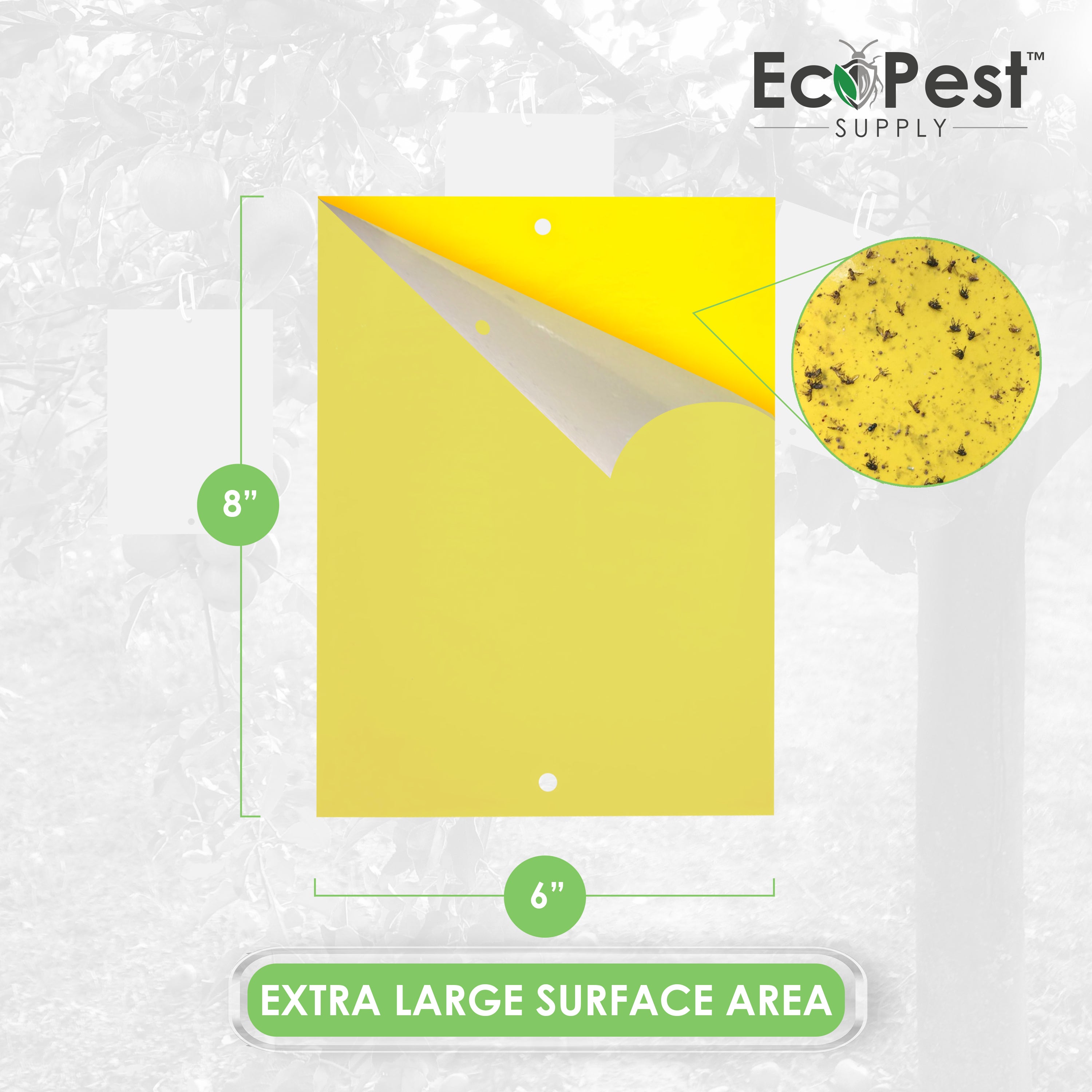 Extra-Wide Sticky Fly Traps (Yellow) — 20 Pack by EcoPest Supply