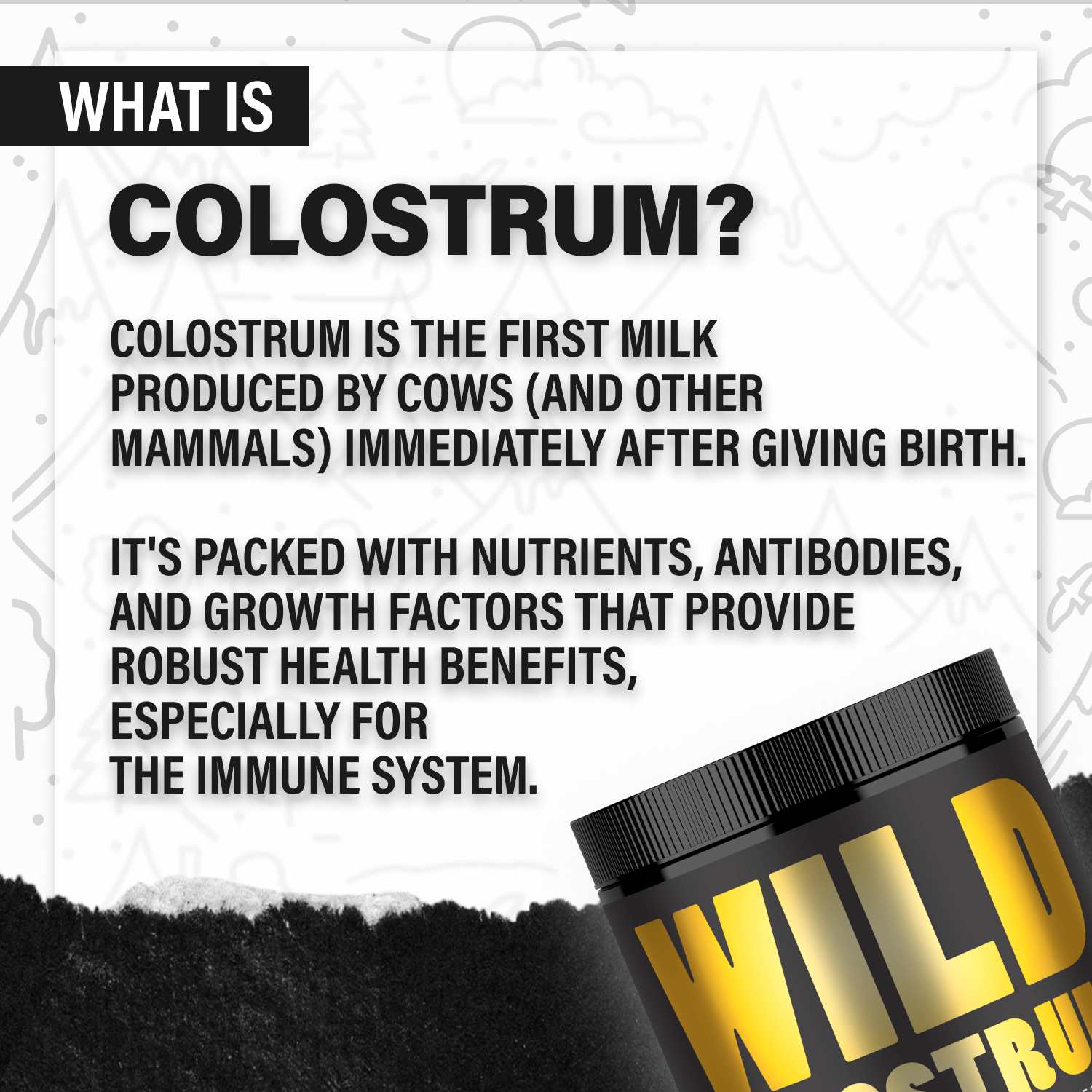 Wholesale of 10 - Wild Colostrum Powder, Grass-fed