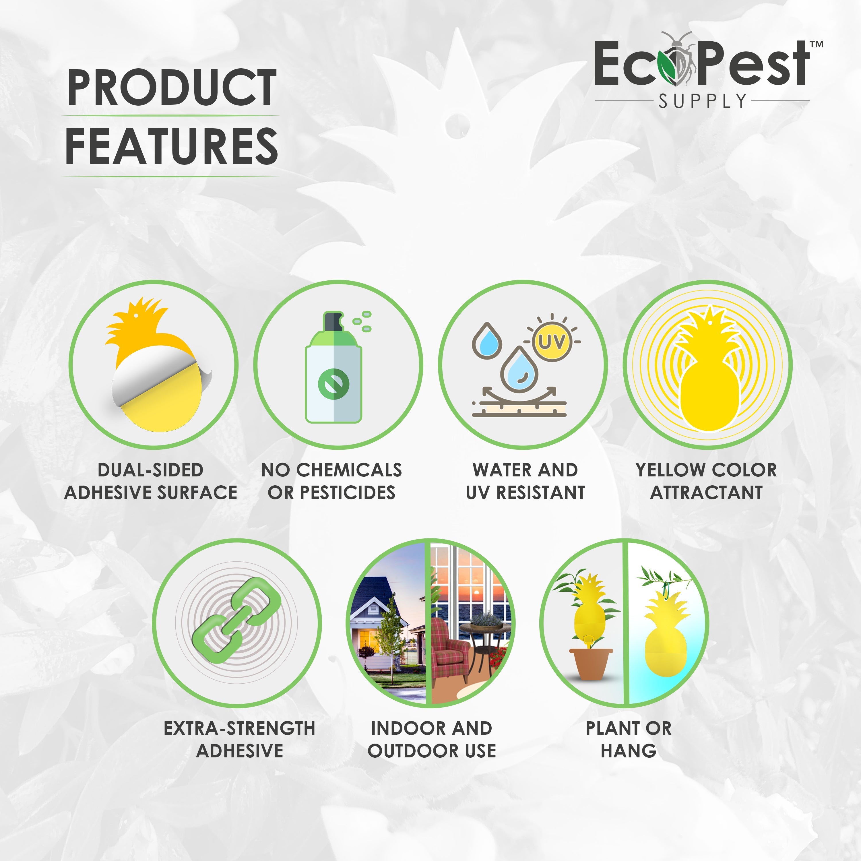 Sticky Fly Traps (Yellow) — 12 Pack by EcoPest Supply