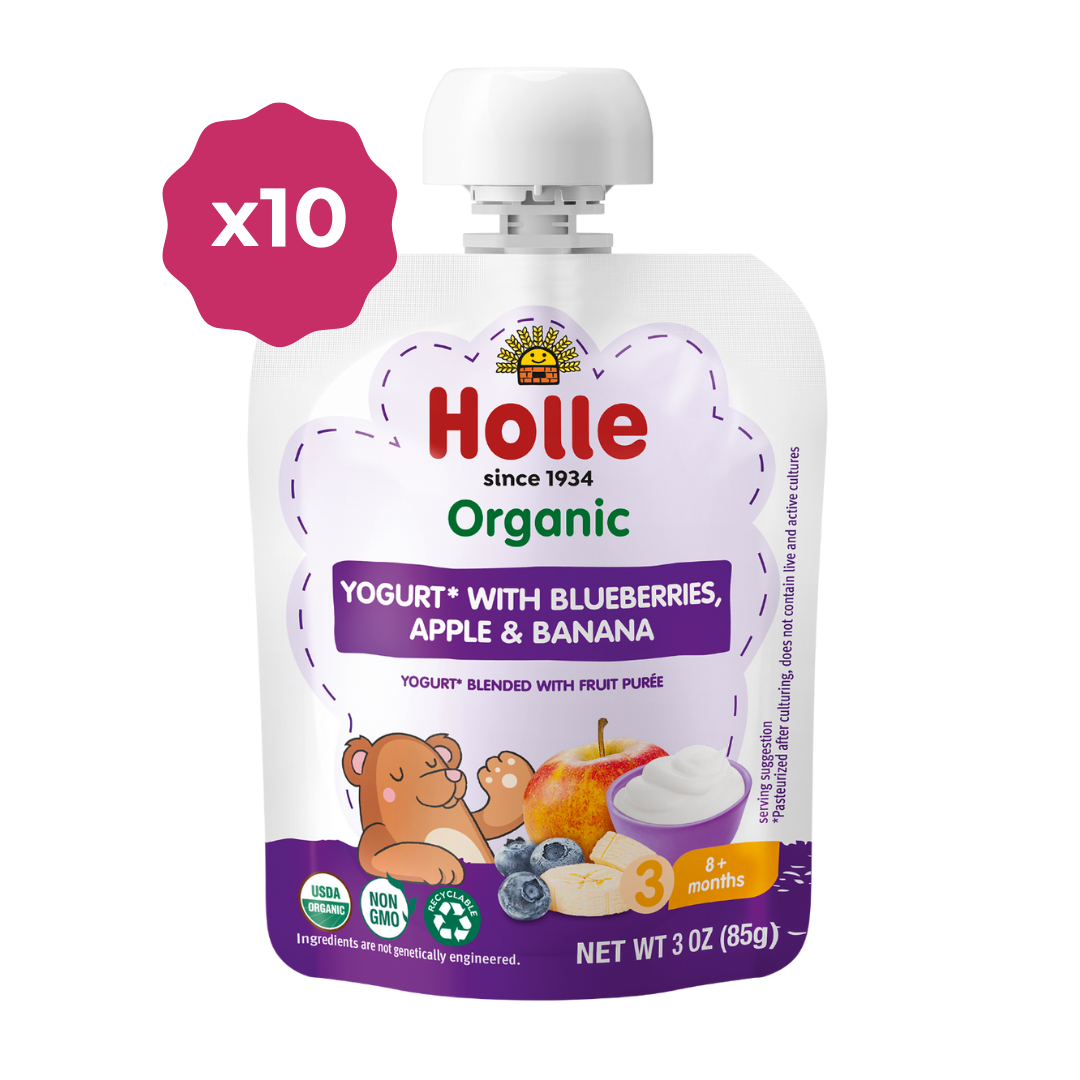 Holle Organic Yogurt Pouches - Blueberries, Apple & Banana by Holle USA