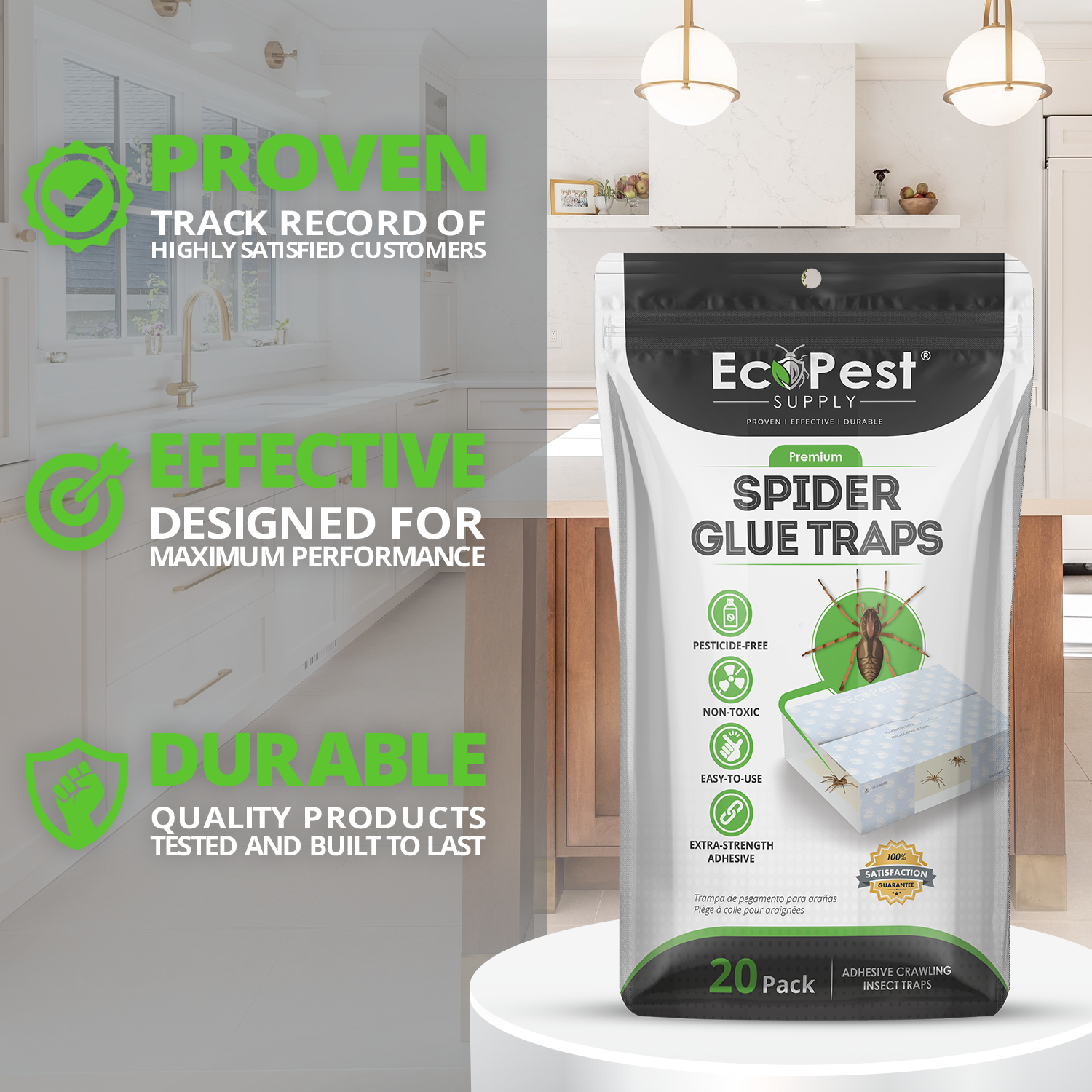 Spider Glue Traps – 20 Pack | Sticky Indoor Pest Control Trap for Spiders by EcoPest Supply