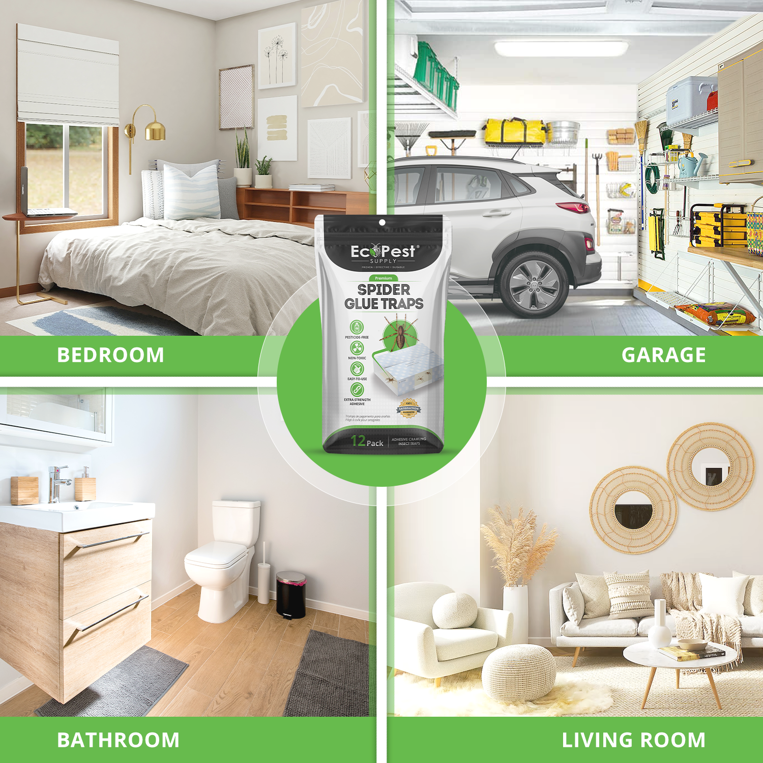 Spider Glue Traps – 20 Pack | Sticky Indoor Pest Control Trap for Spiders by EcoPest Supply