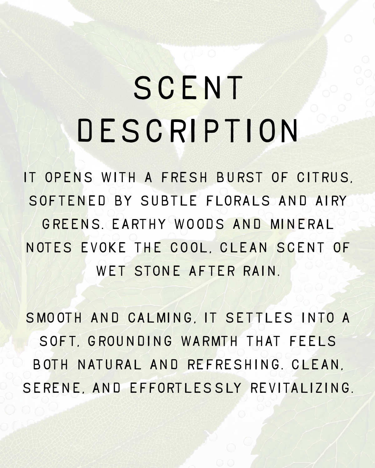 Minerale Fragrance