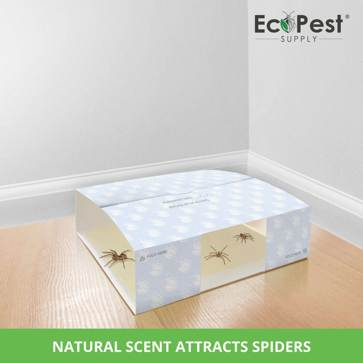 Spider Glue Traps – 20 Pack | Sticky Indoor Pest Control Trap for Spiders by EcoPest Supply