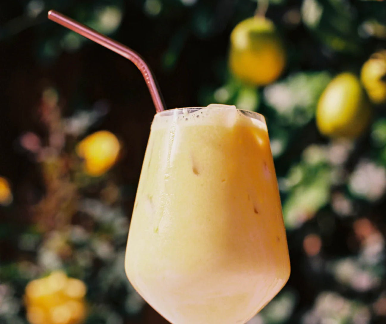 Turmeric Starter Kit