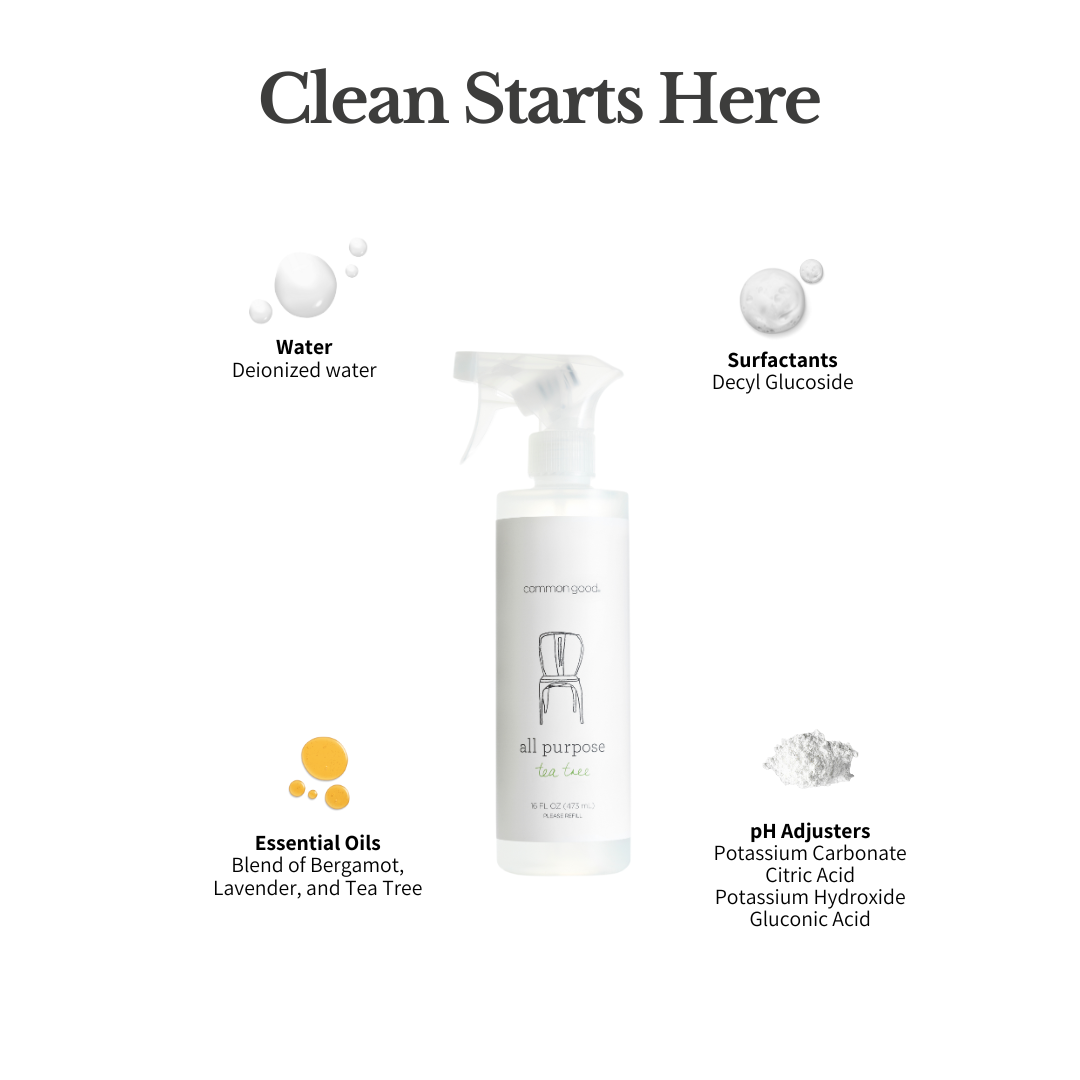 All Purpose Cleaner, 16 Fl Oz by Common Good