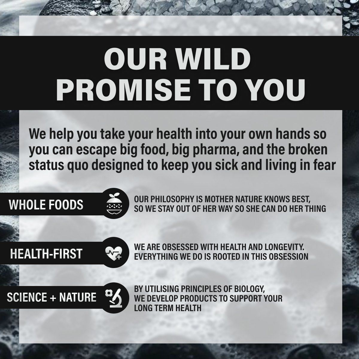 Wild Magnesium Complex - Chelated - 7x Forms - 450 mg of Elemental Magnesium by Wild Foods