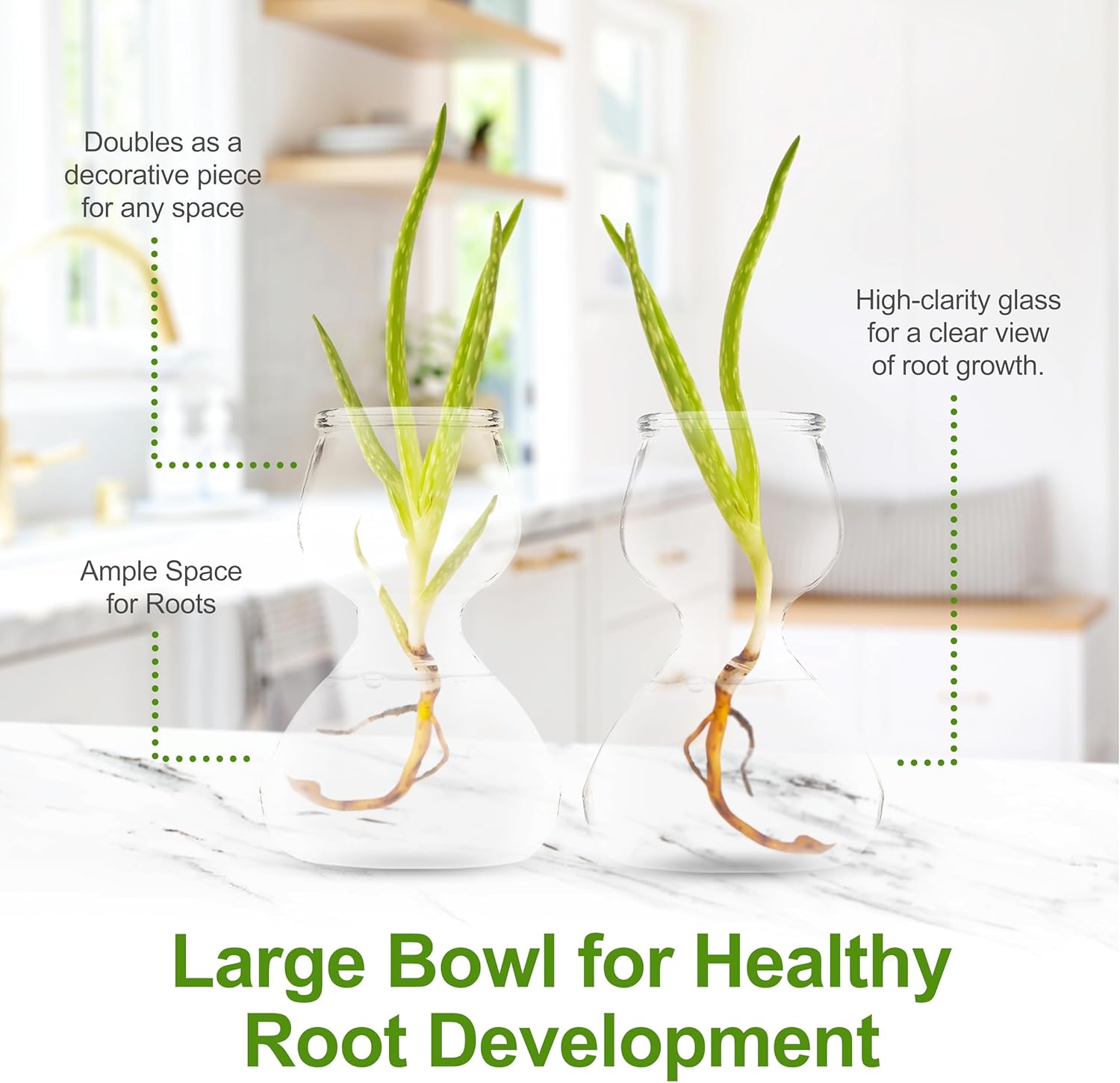 Plant Propagation Stations - Clear Glass Bud Vases (Set of 2)