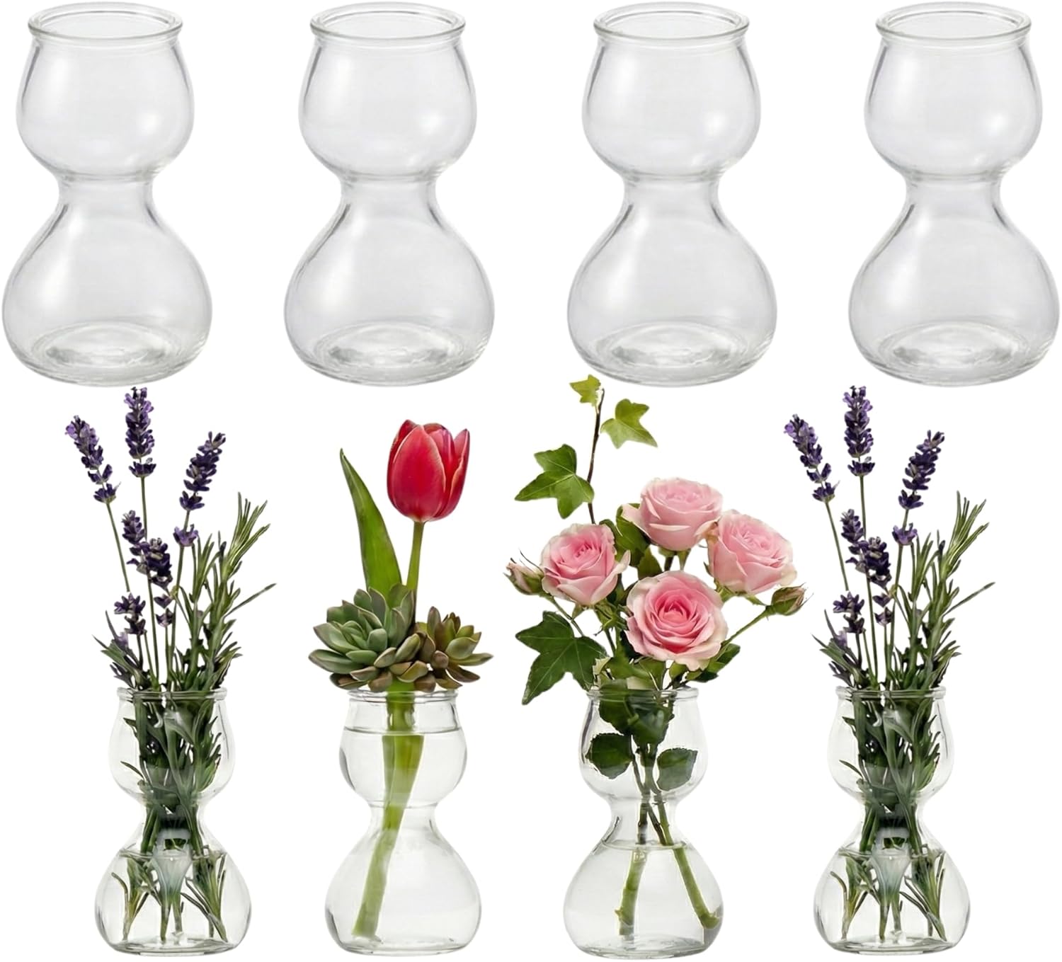 Clear Glass Bud Vases - Propagation Stations (Set of 8)