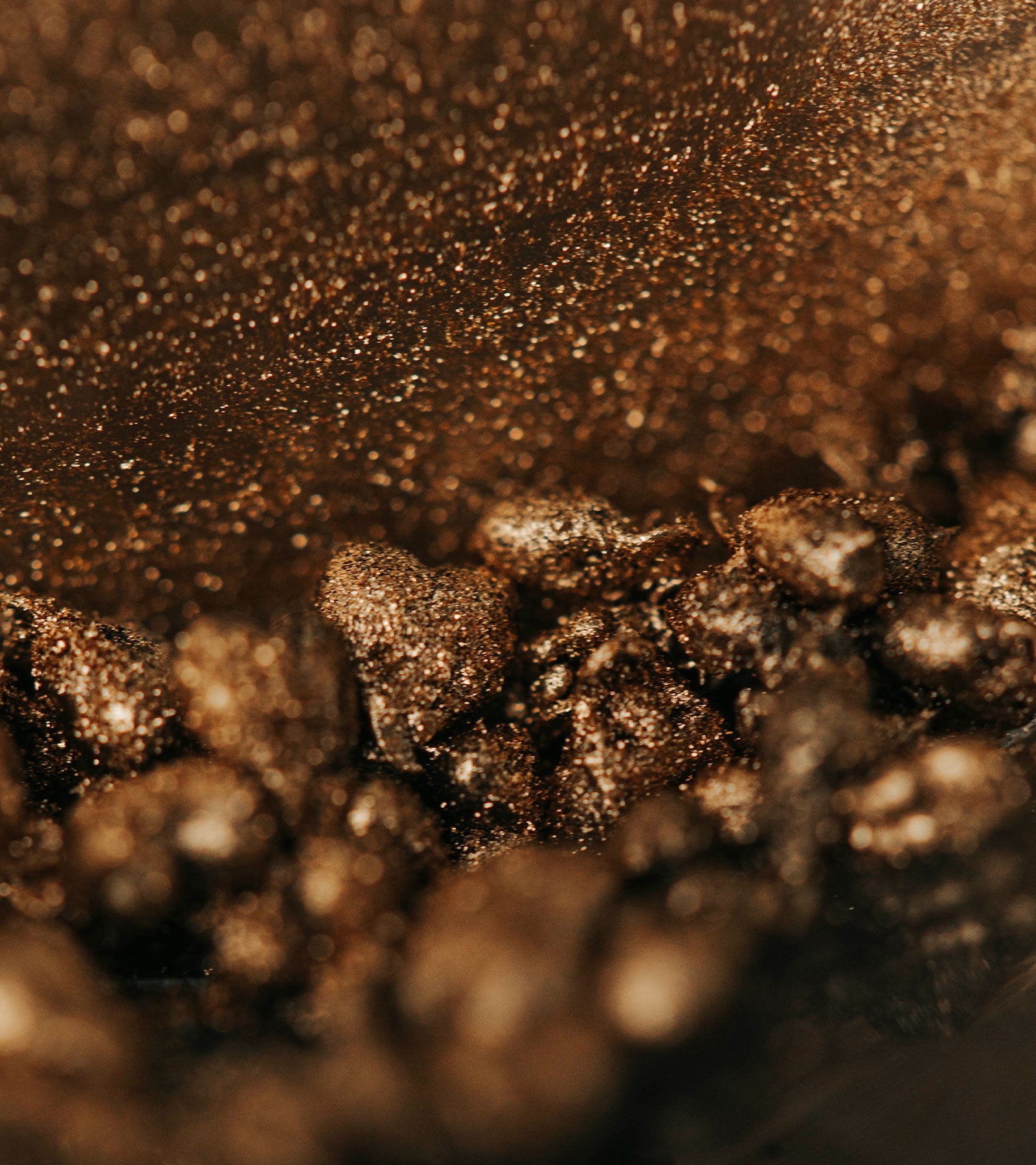Amazonian Ants - Grande by To'ak Chocolate