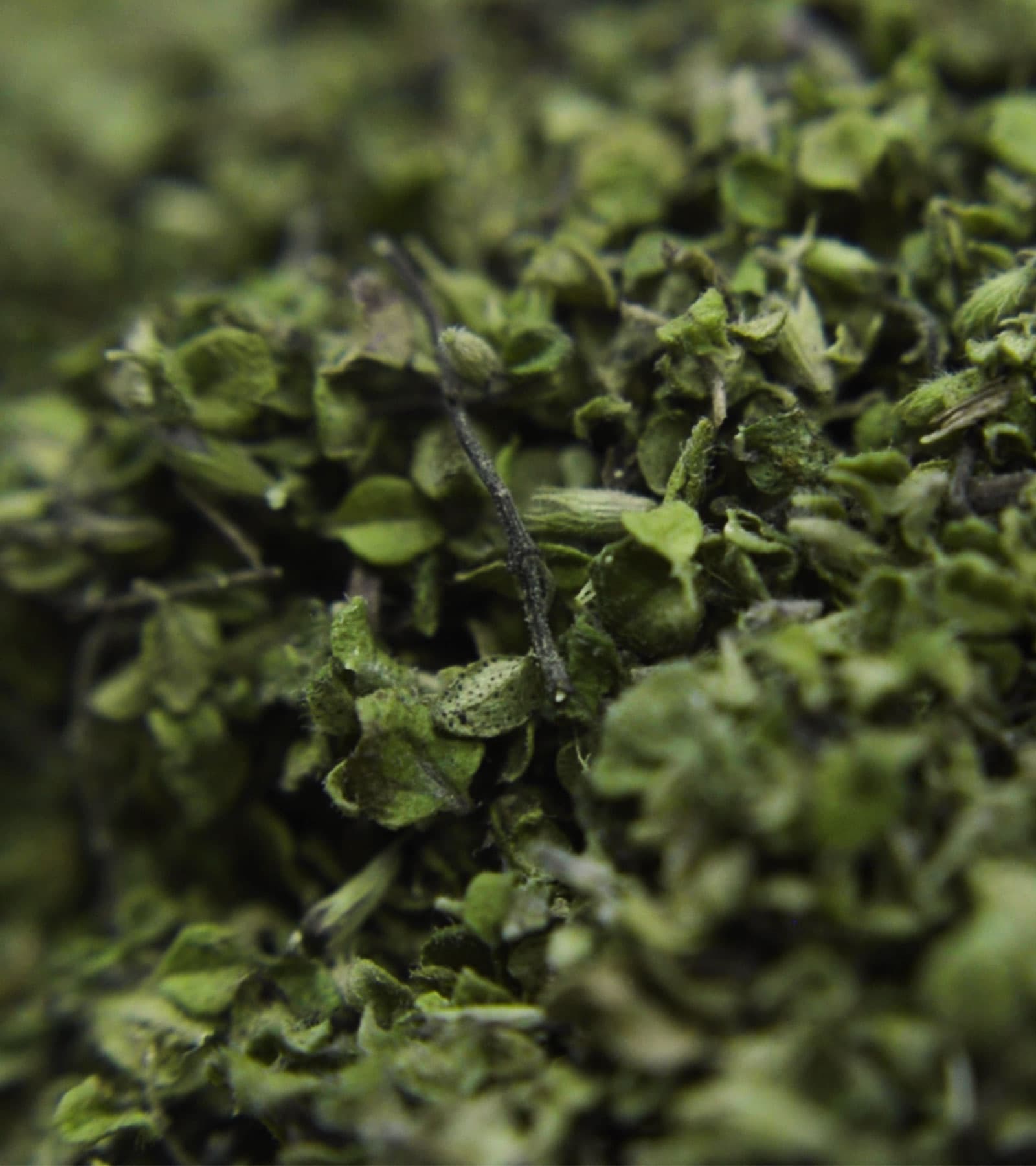 Andean Mints - Grande by To'ak Chocolate