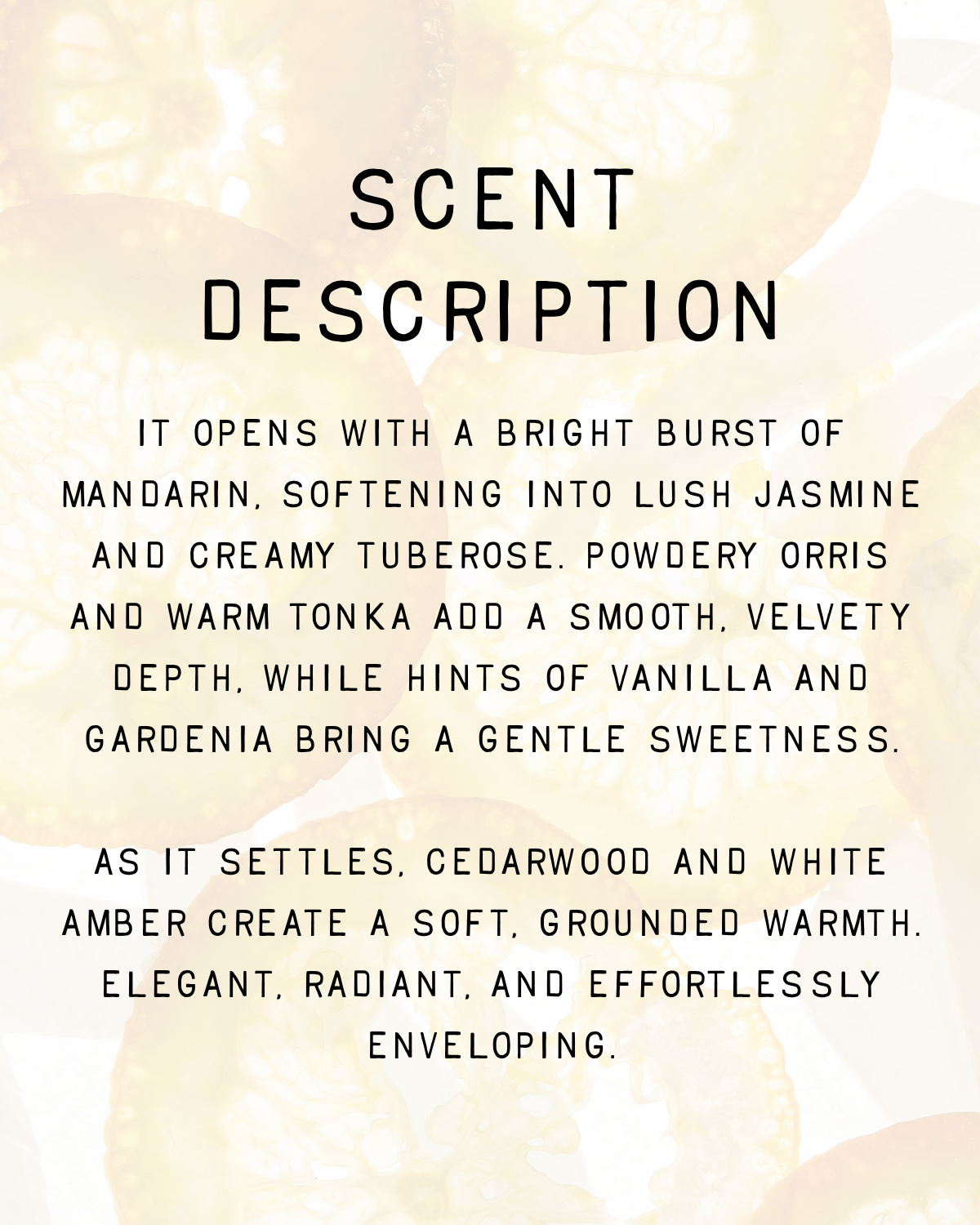 Jasmine & White Amber Fragrance