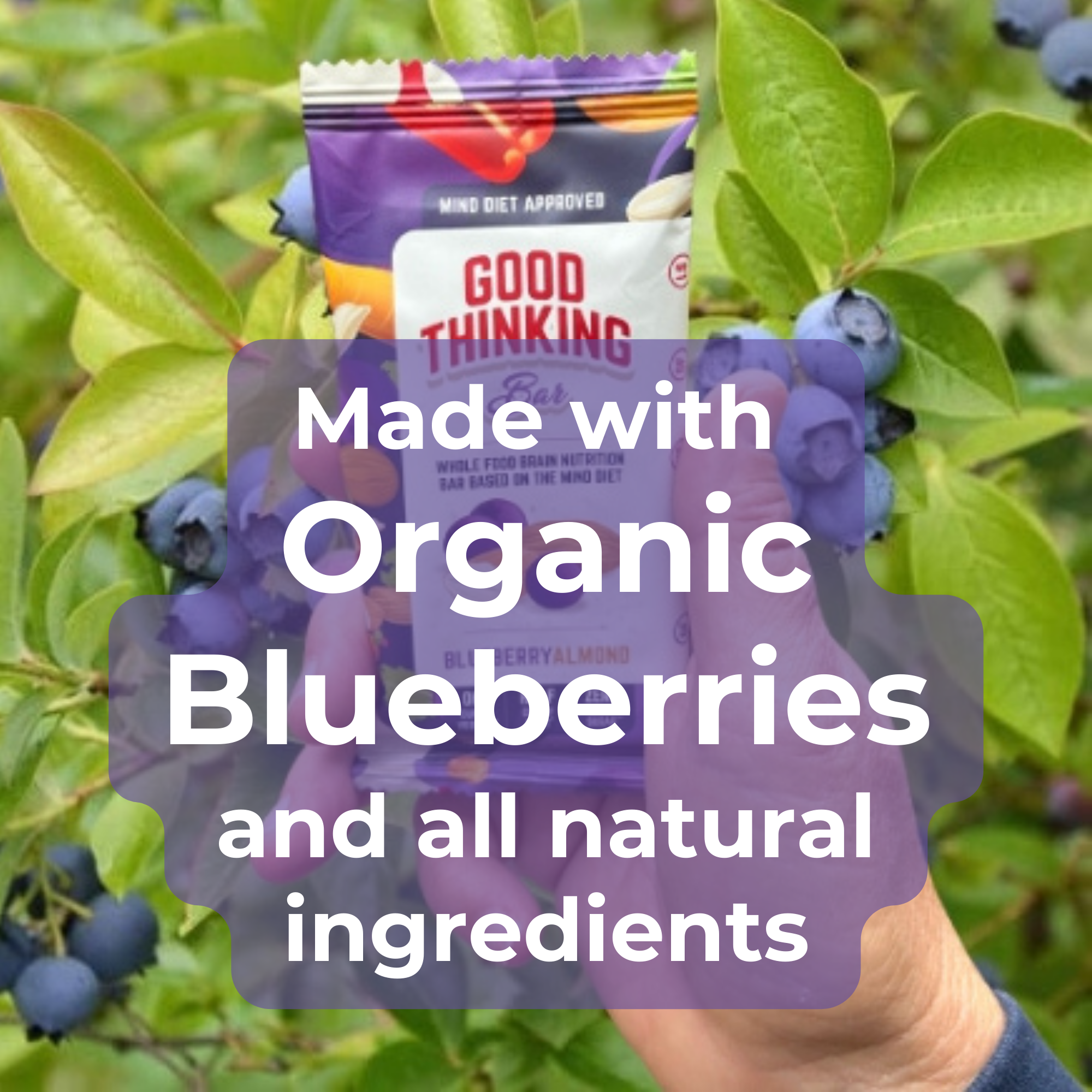 Blueberry Almond by Good Thinking Foods