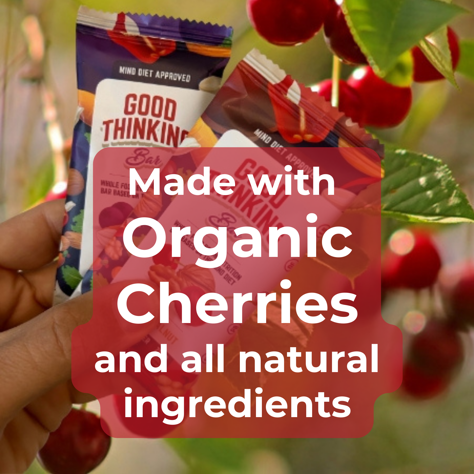 Cherry Walnut by Good Thinking Foods