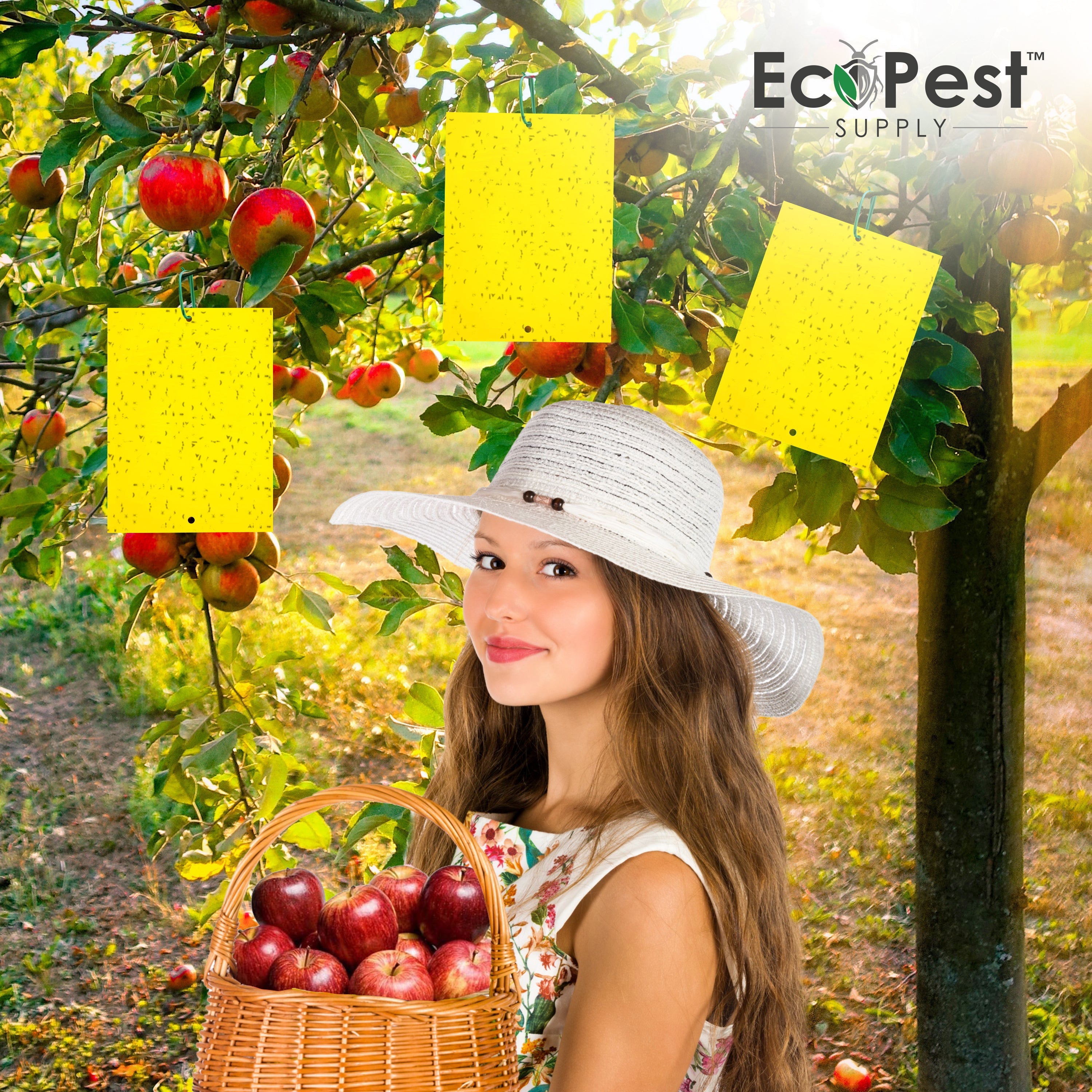 Extra-Wide Sticky Fly Traps (Yellow) — 20 Pack by EcoPest Supply