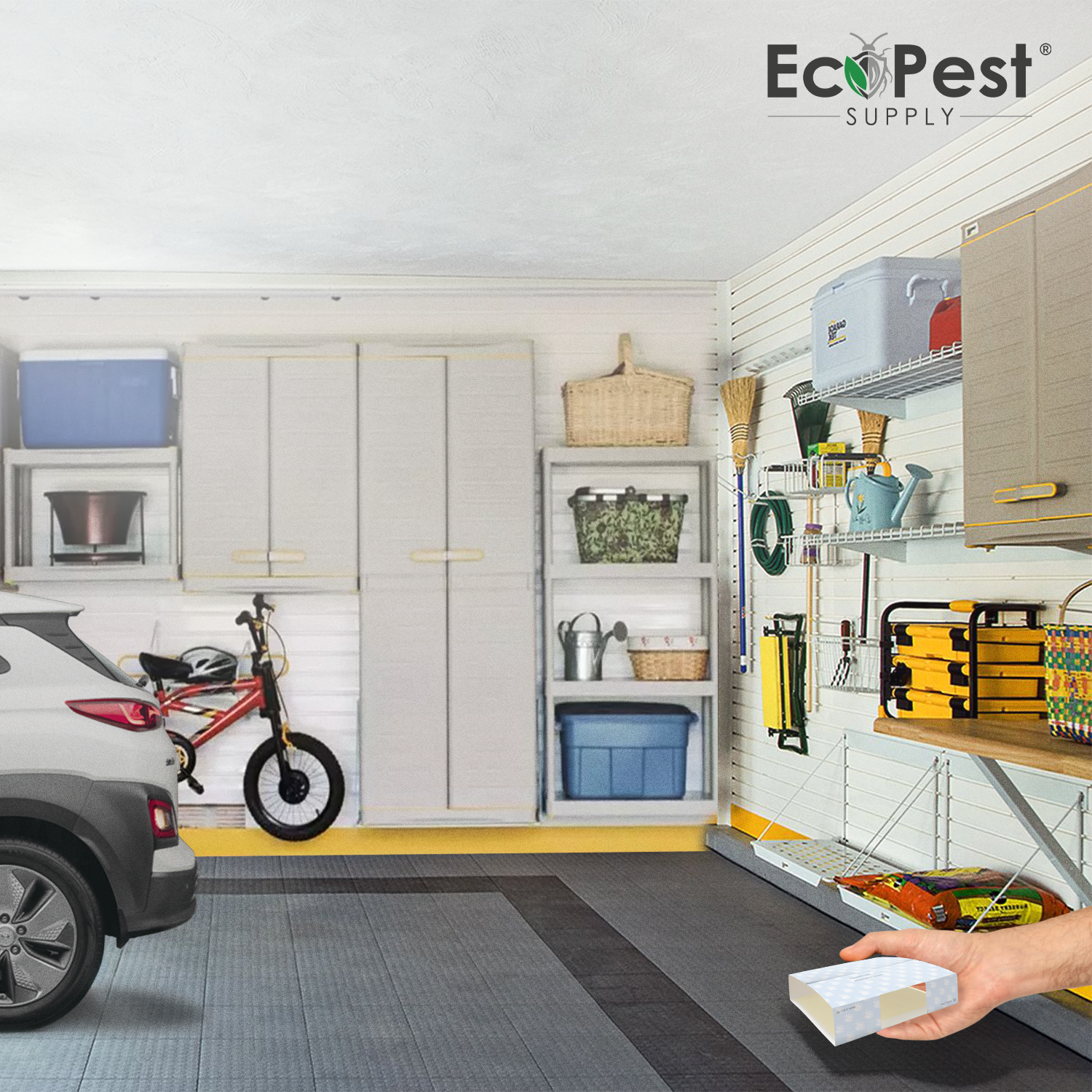 Spider Glue Traps – 20 Pack | Sticky Indoor Pest Control Trap for Spiders by EcoPest Supply