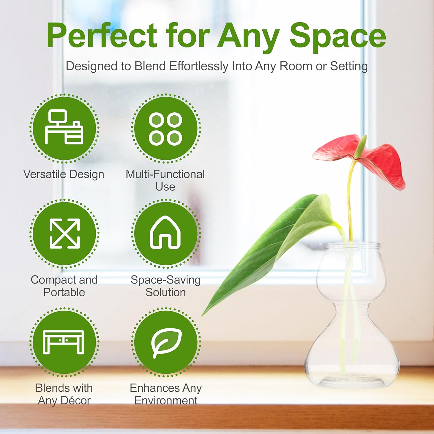 Plant Propagation Stations - Clear Glass Bud Vases (Set of 2)