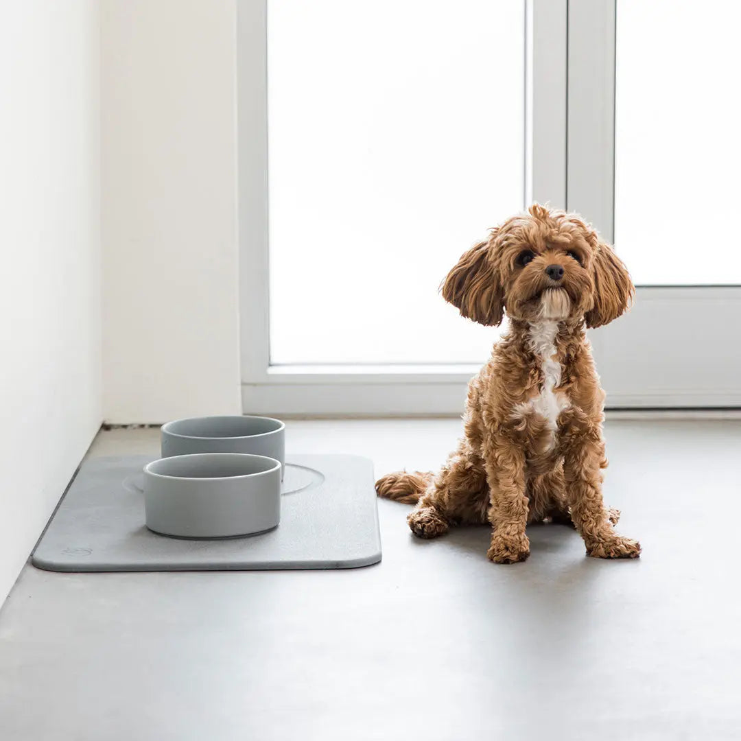 Dog Bowl Stone Base by Dorai Home | Quick-Drying Home Essentials