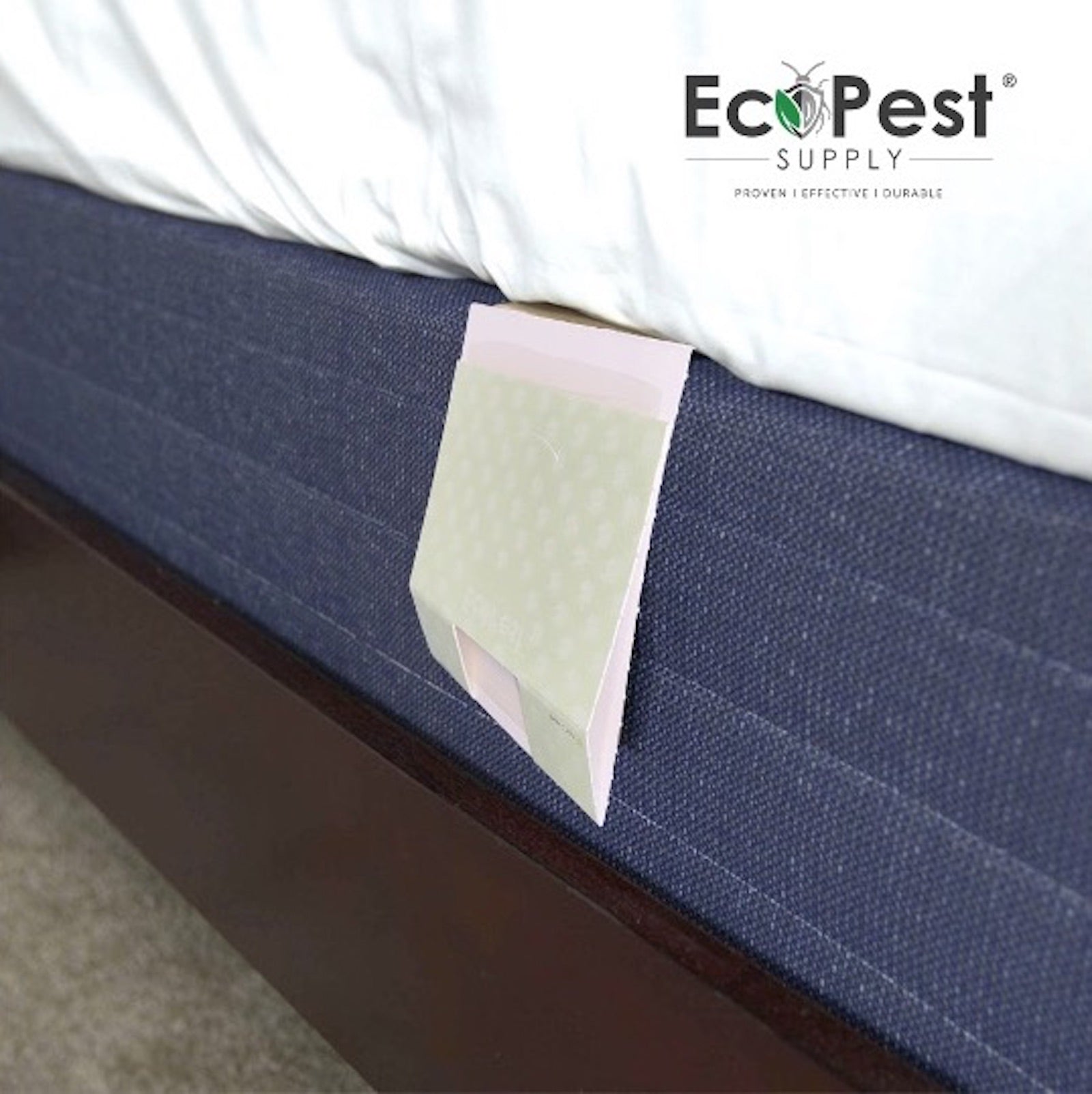 Bed Bug Glue Traps – 12 Pack | Sticky Indoor Pest Control Trap for Bed Bugs by EcoPest Supply