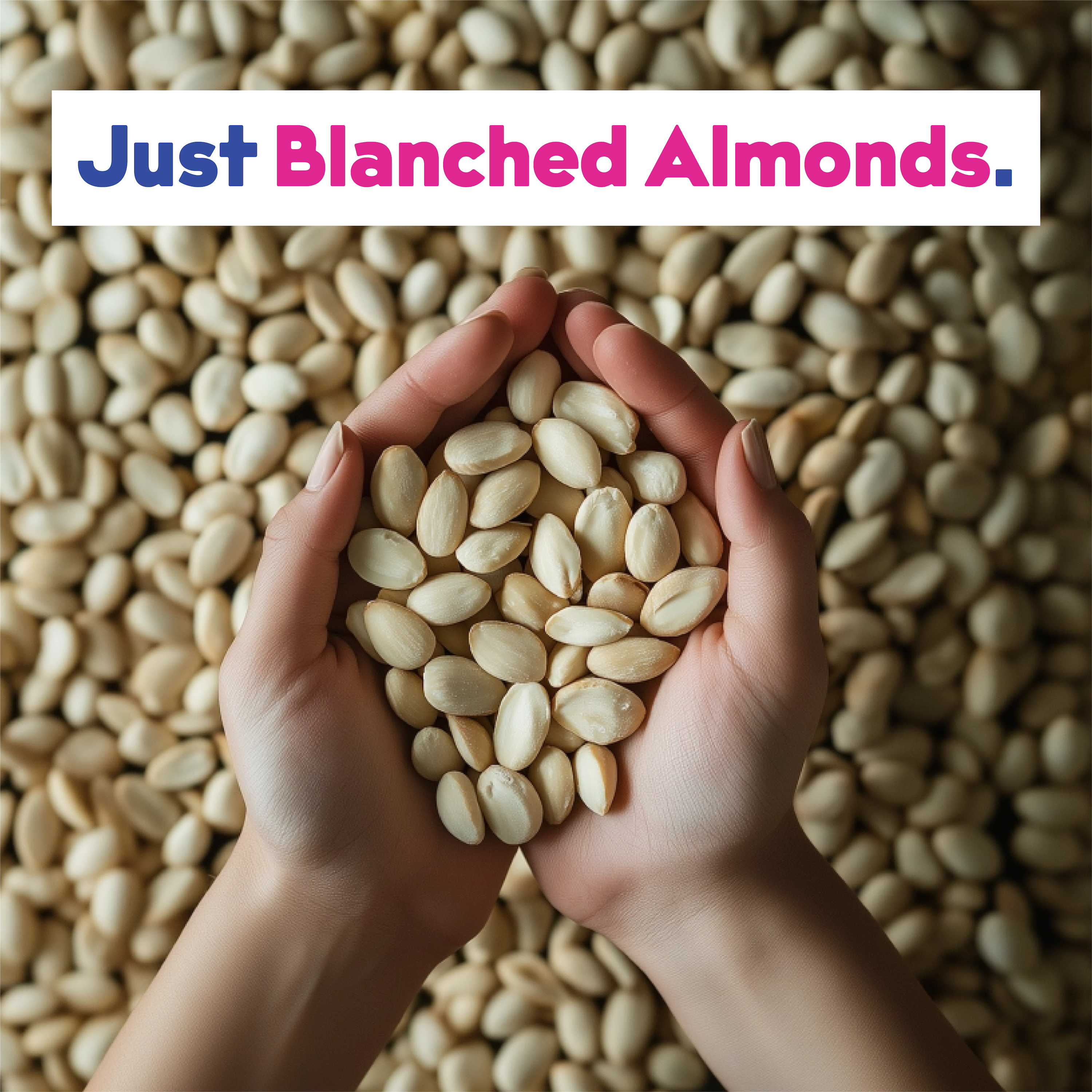 Almond Base 4-Pack by JOI