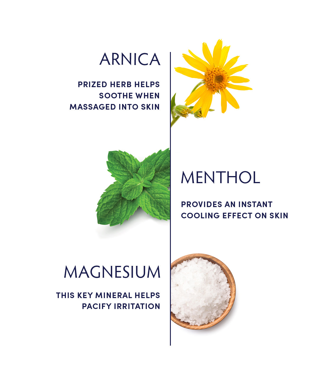 Alpine Arnica & Magnesium Gel by Naturopathica