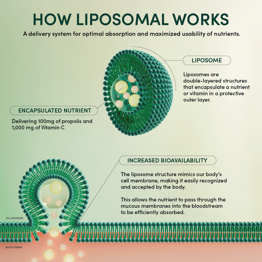 Propolis Stress Support Liposomal