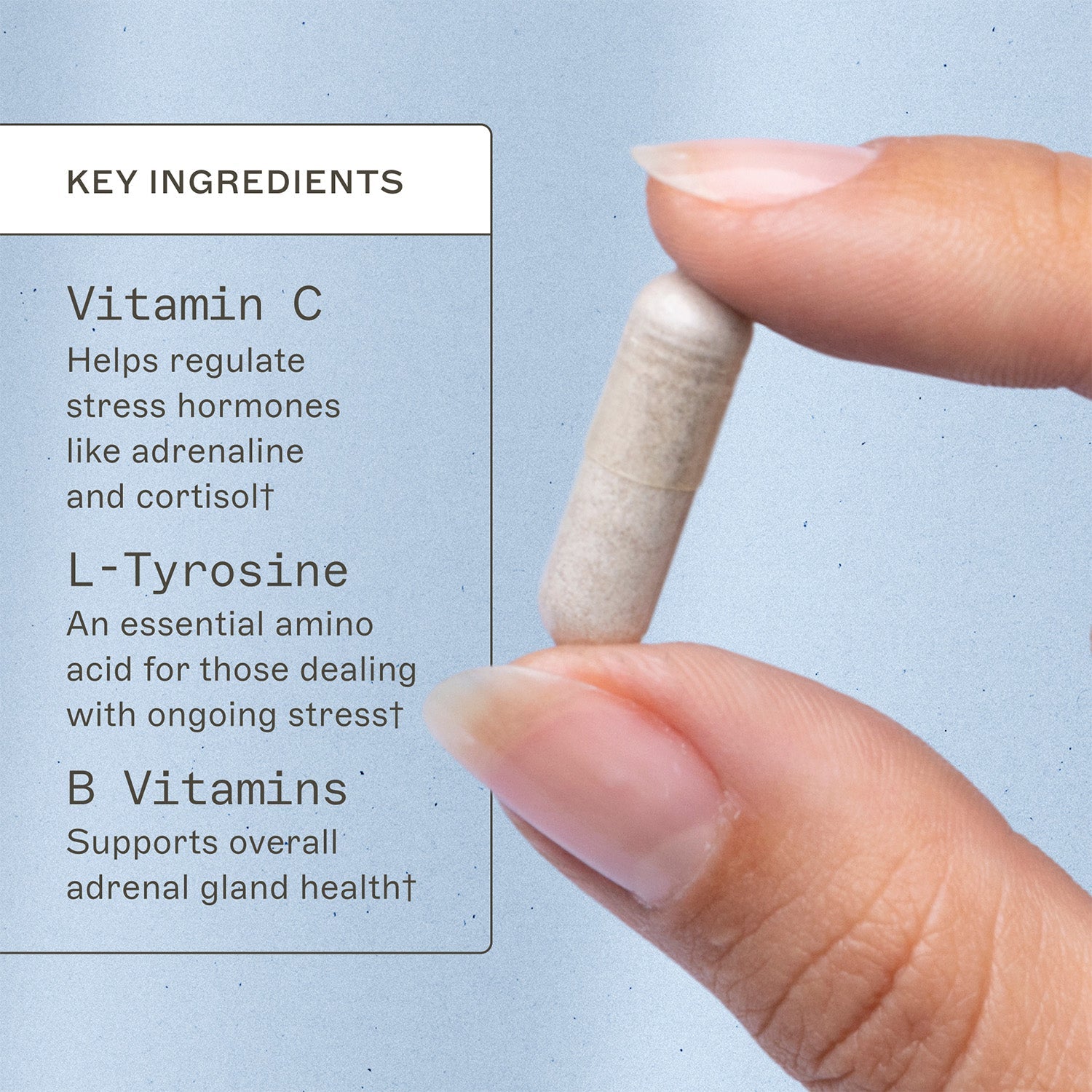 Adrenal Support by Amy Myers MD