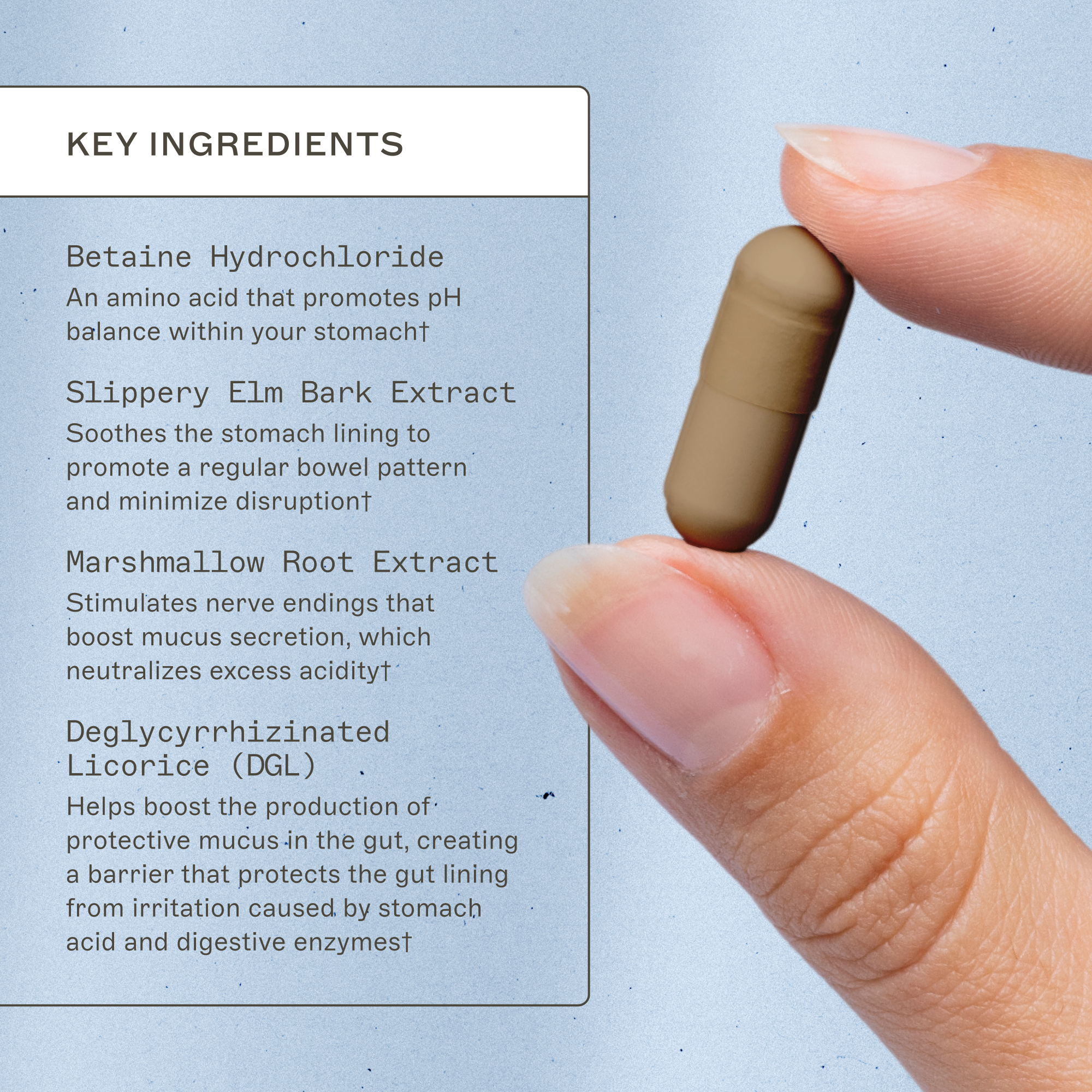 Acid Restore with Betaine and HCL by Amy Myers MD