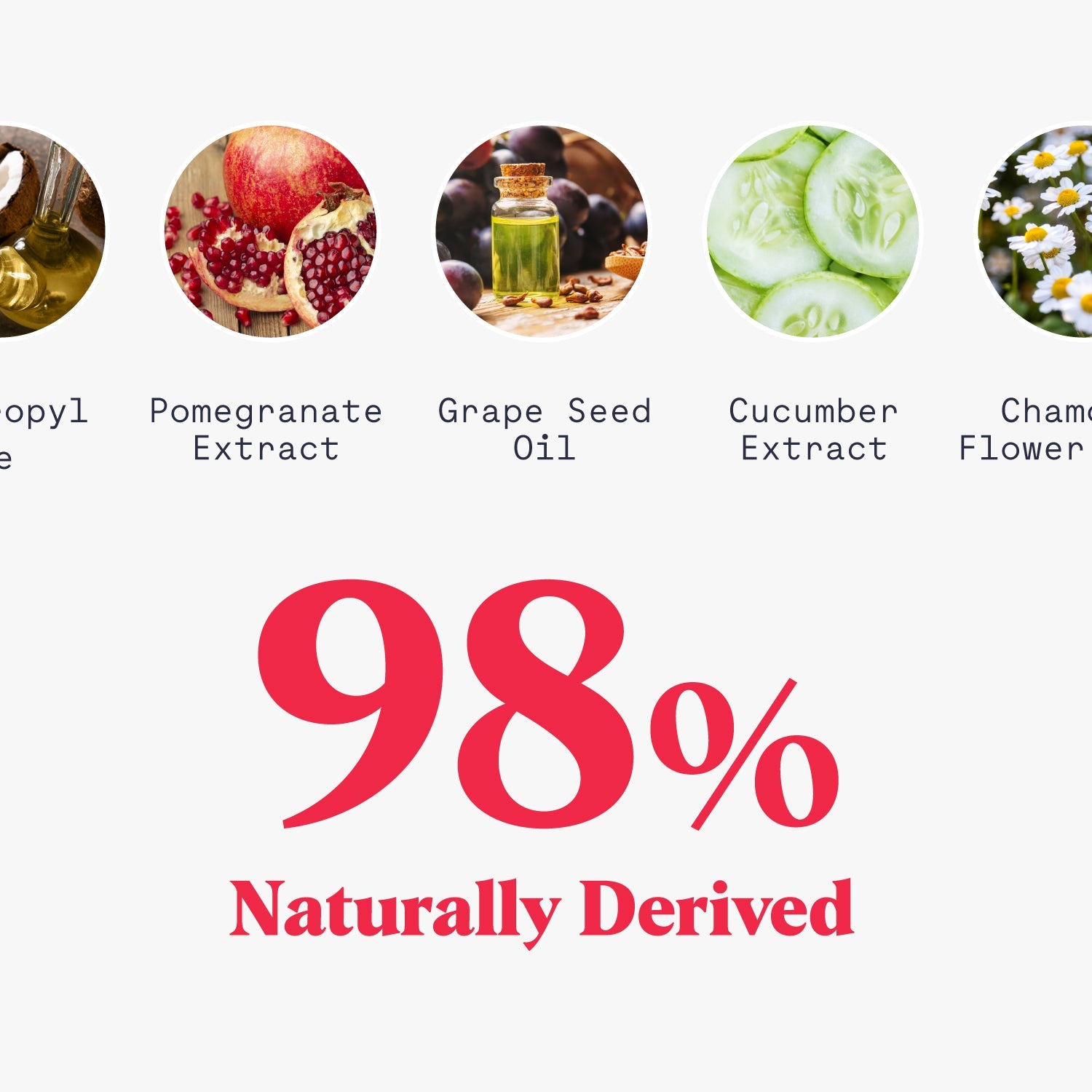 Whole Body Deodorant Wipes by Duradry