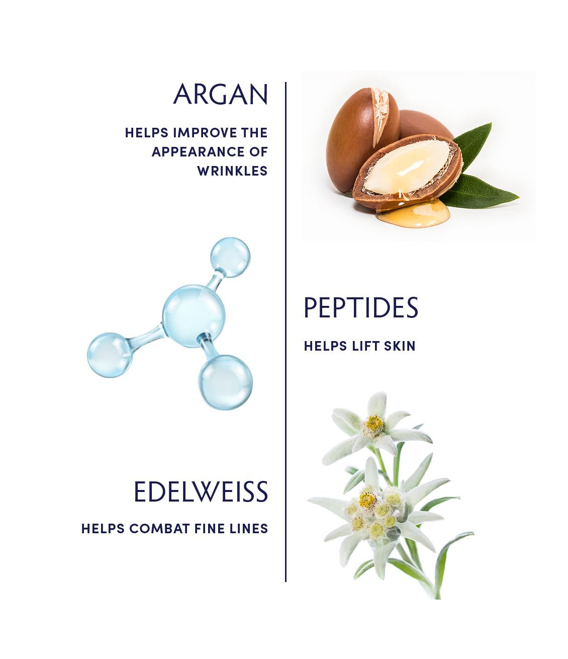 Argan & Peptide Advanced Wrinkle Remedy Water Cream by Naturopathica