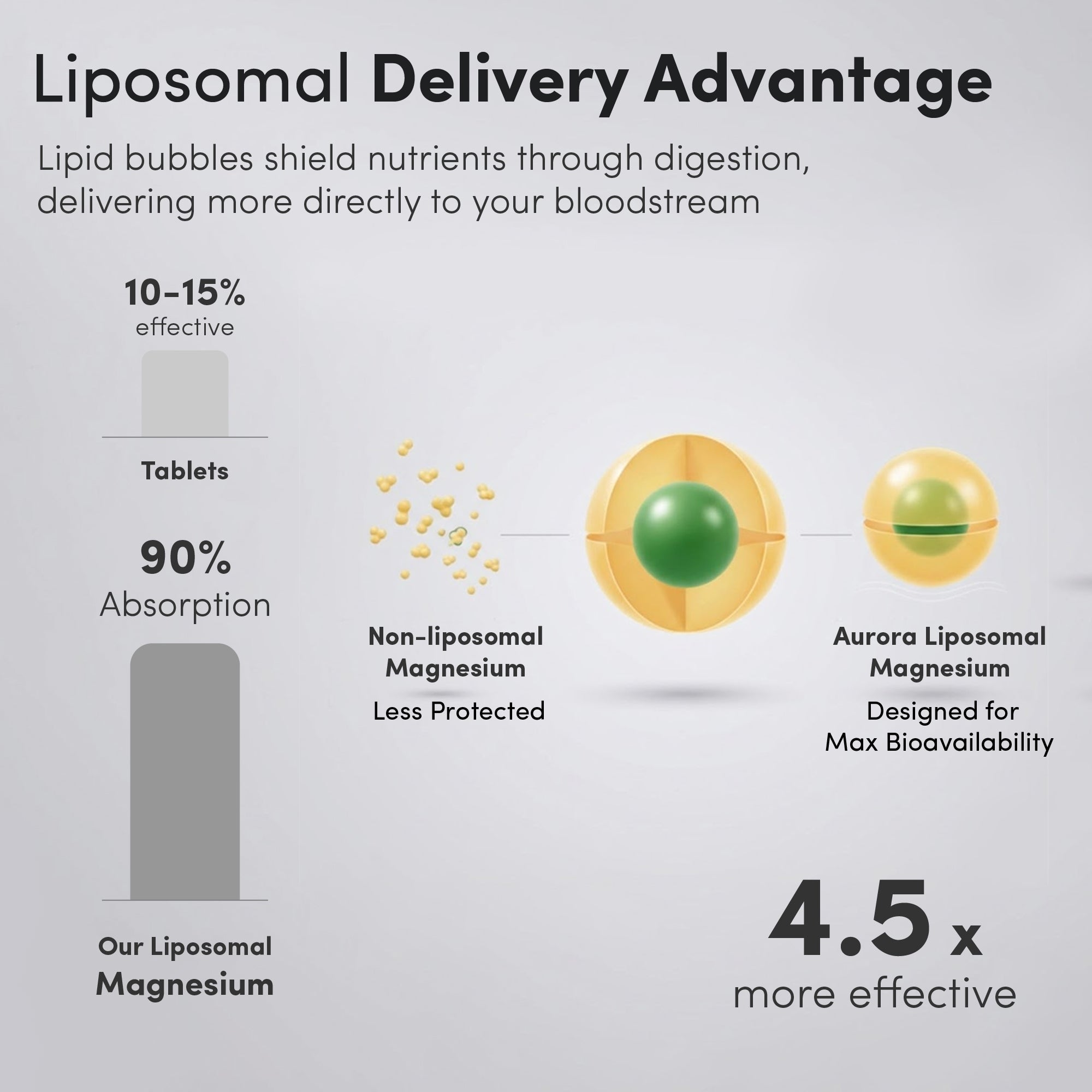 Liposomal Magnesium Capsules