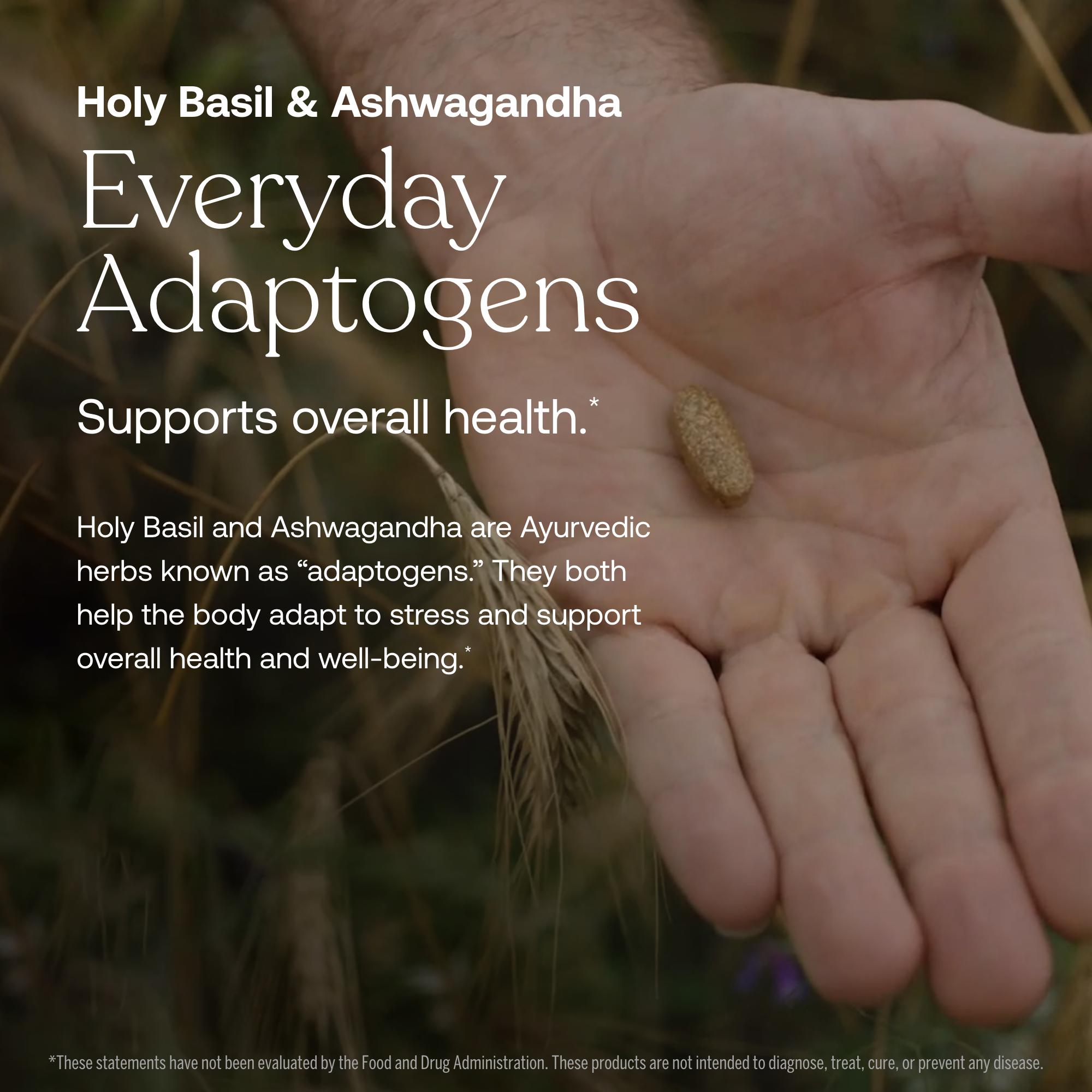 One Daily Men's 40+ Multivitamin