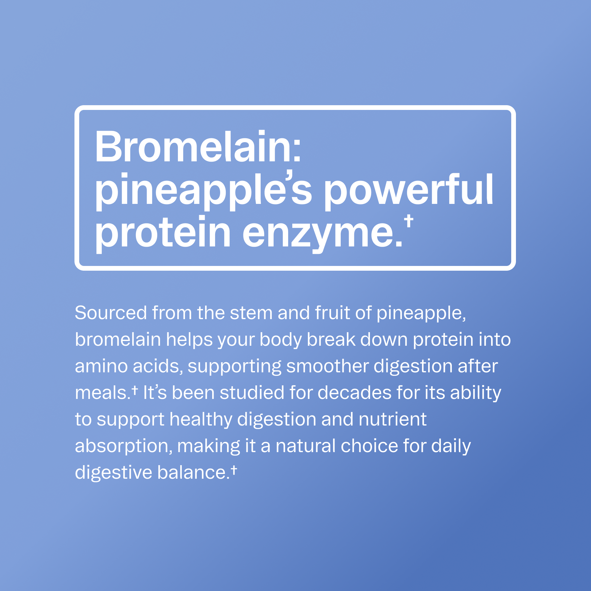 Digestive Enzymes Capsules