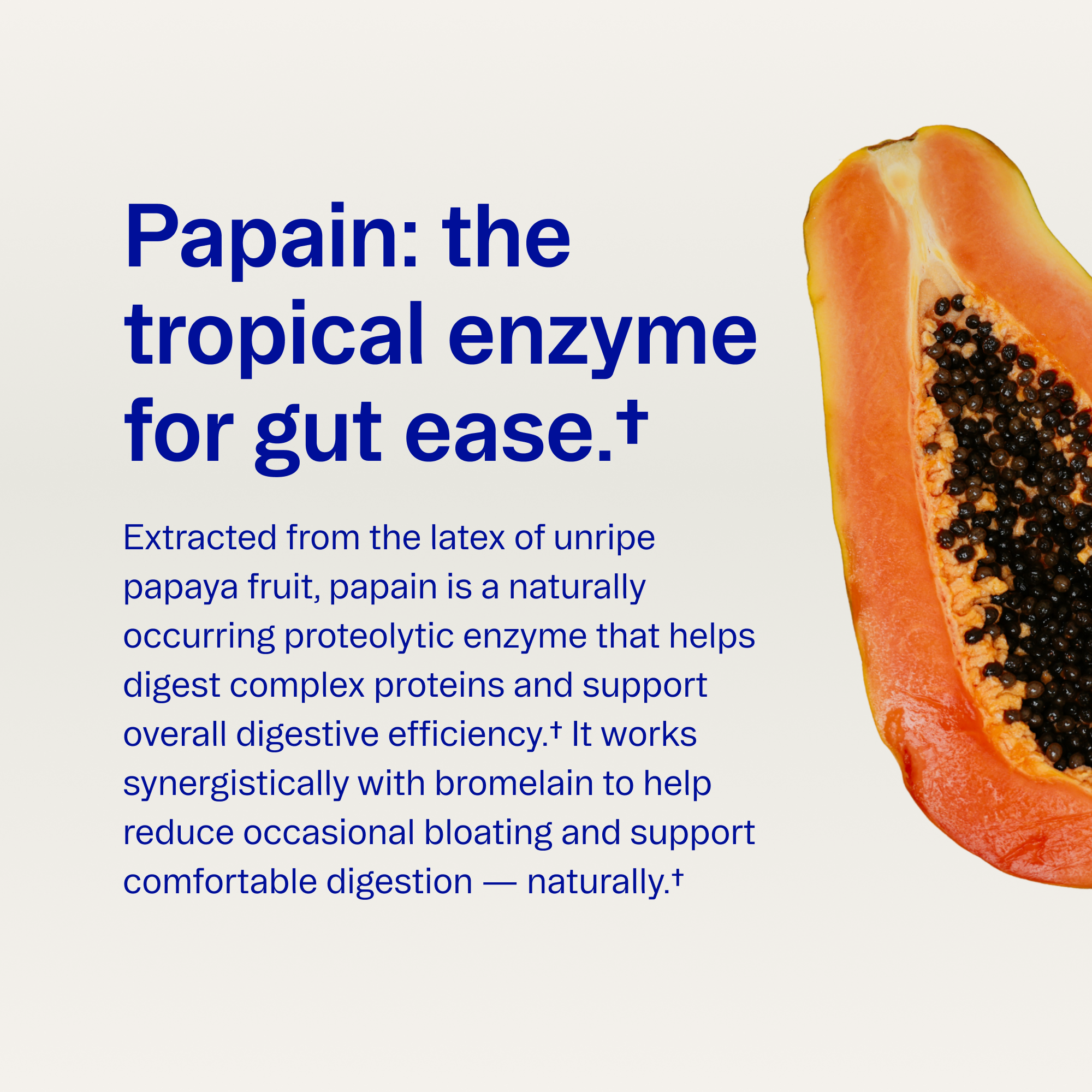 Digestive Enzymes Capsules